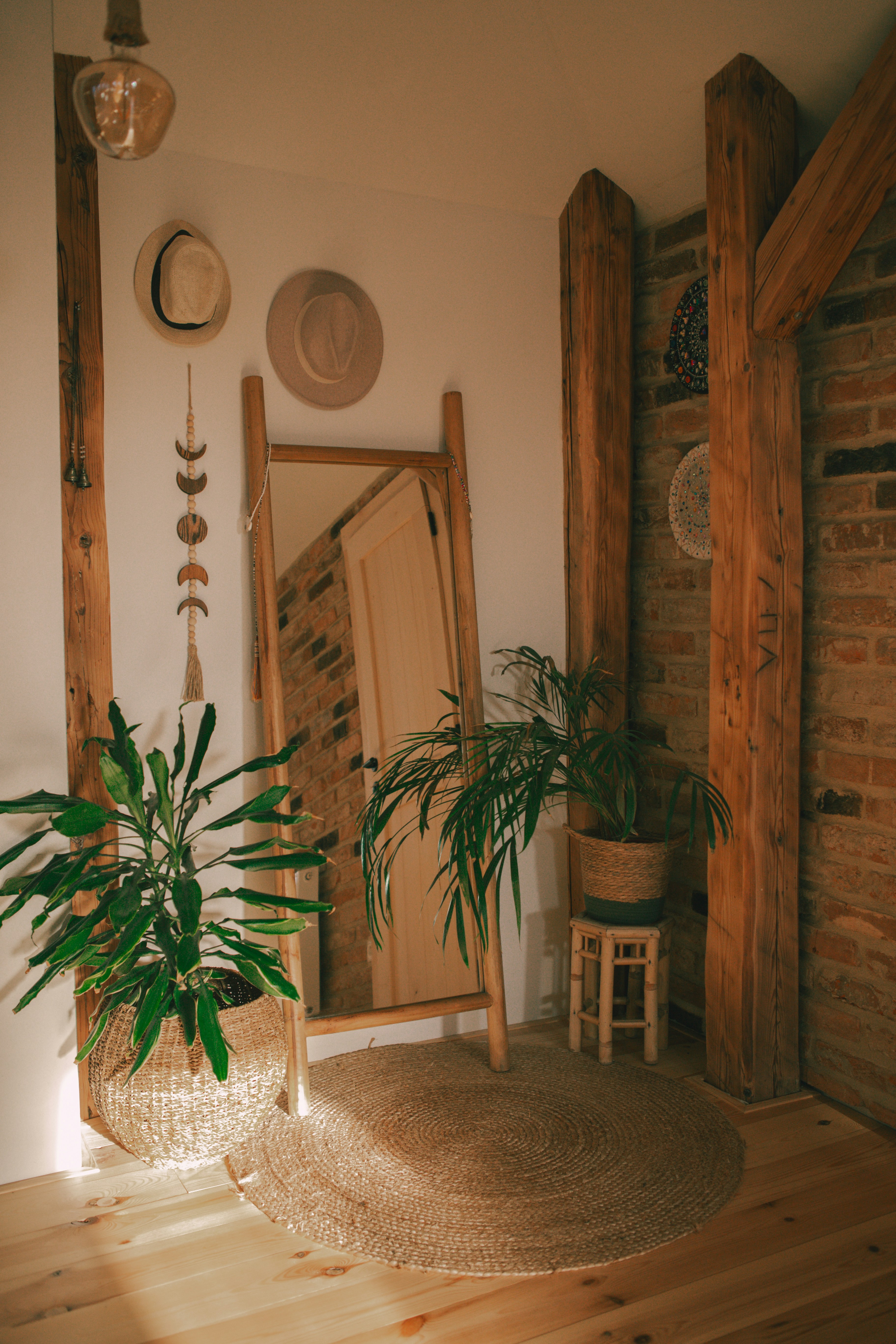 A room with a plant and a mirror