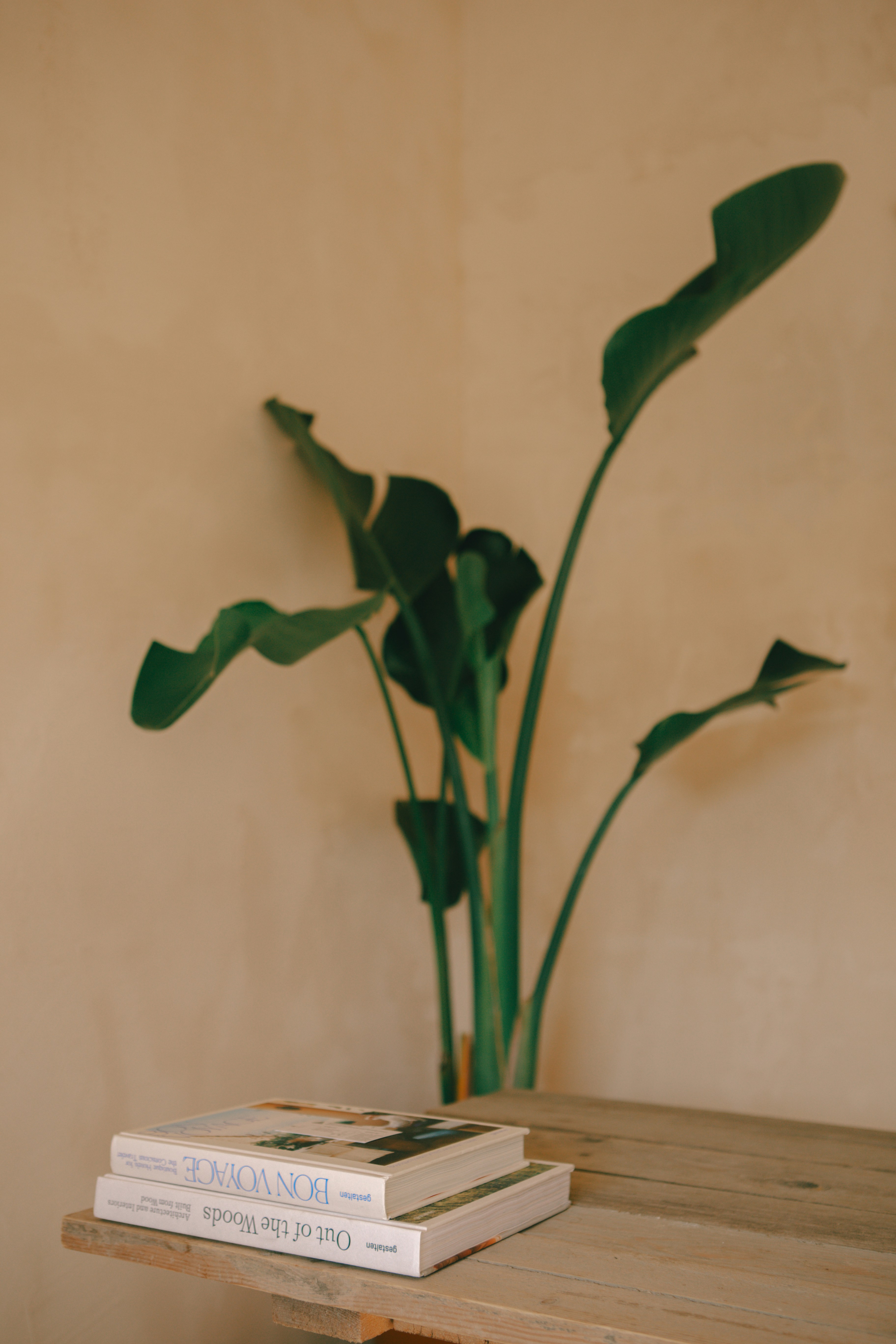 A wooden table topped with two books and a plant