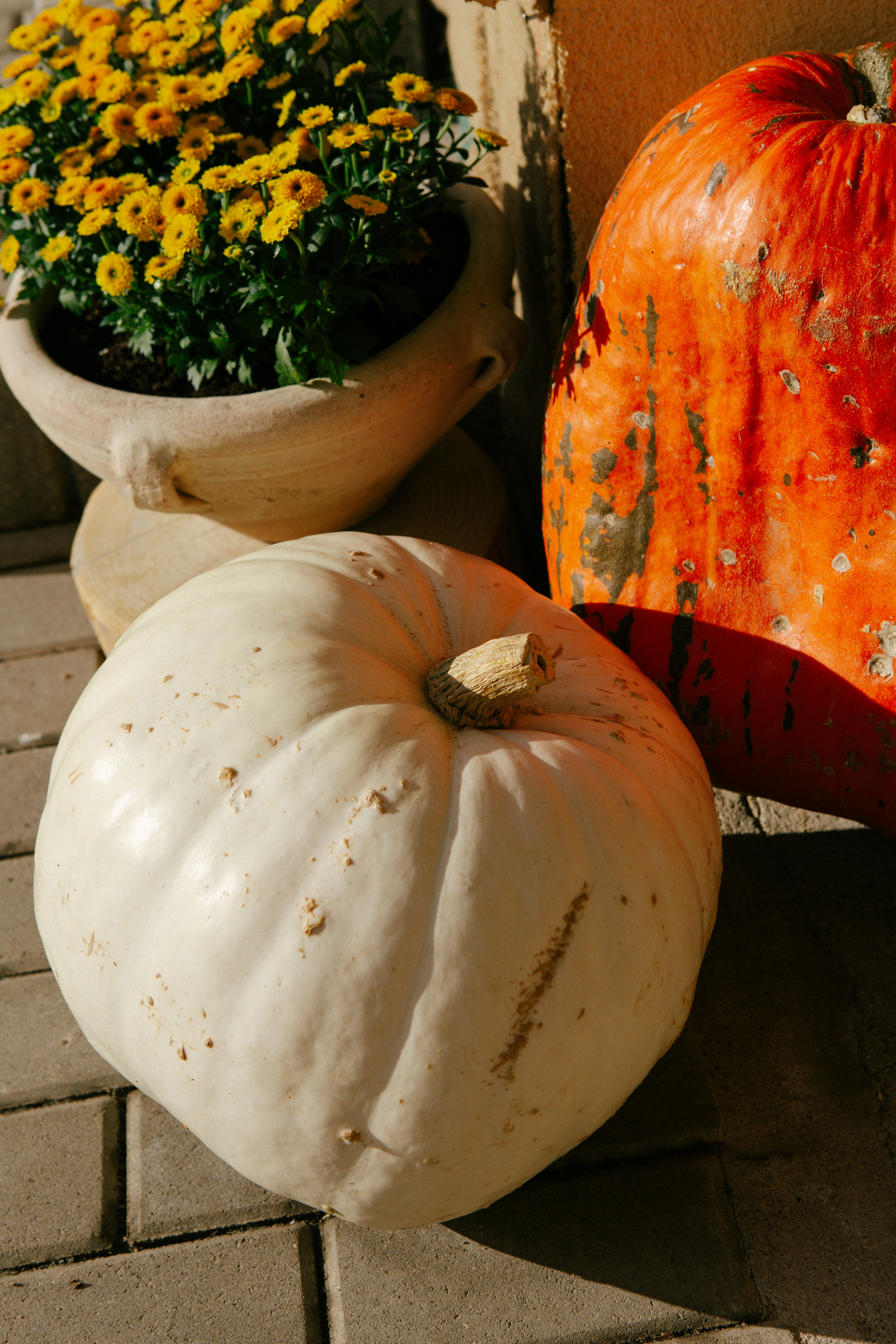 Photo by raymondpetrik