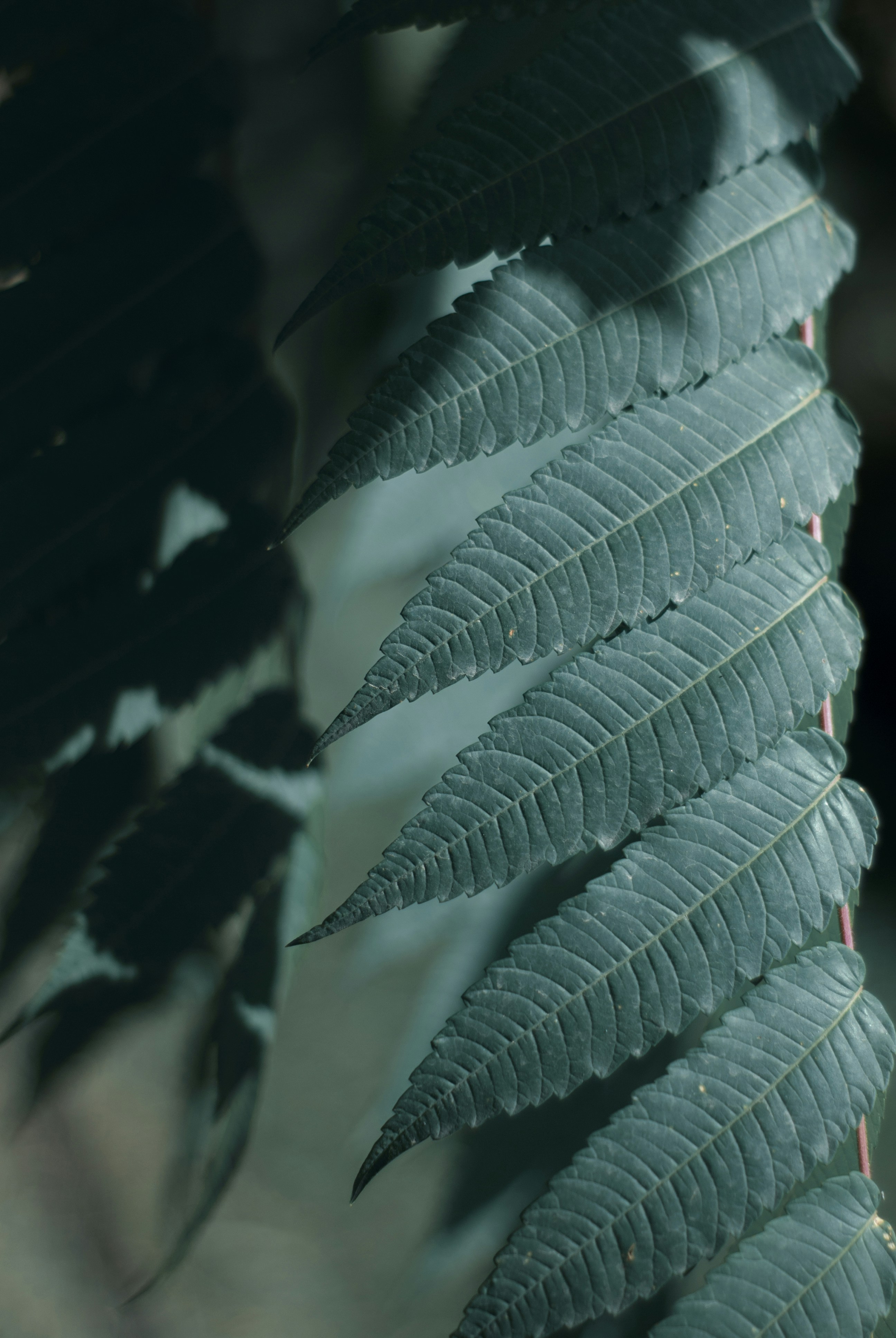 Photo by kovalskihelga