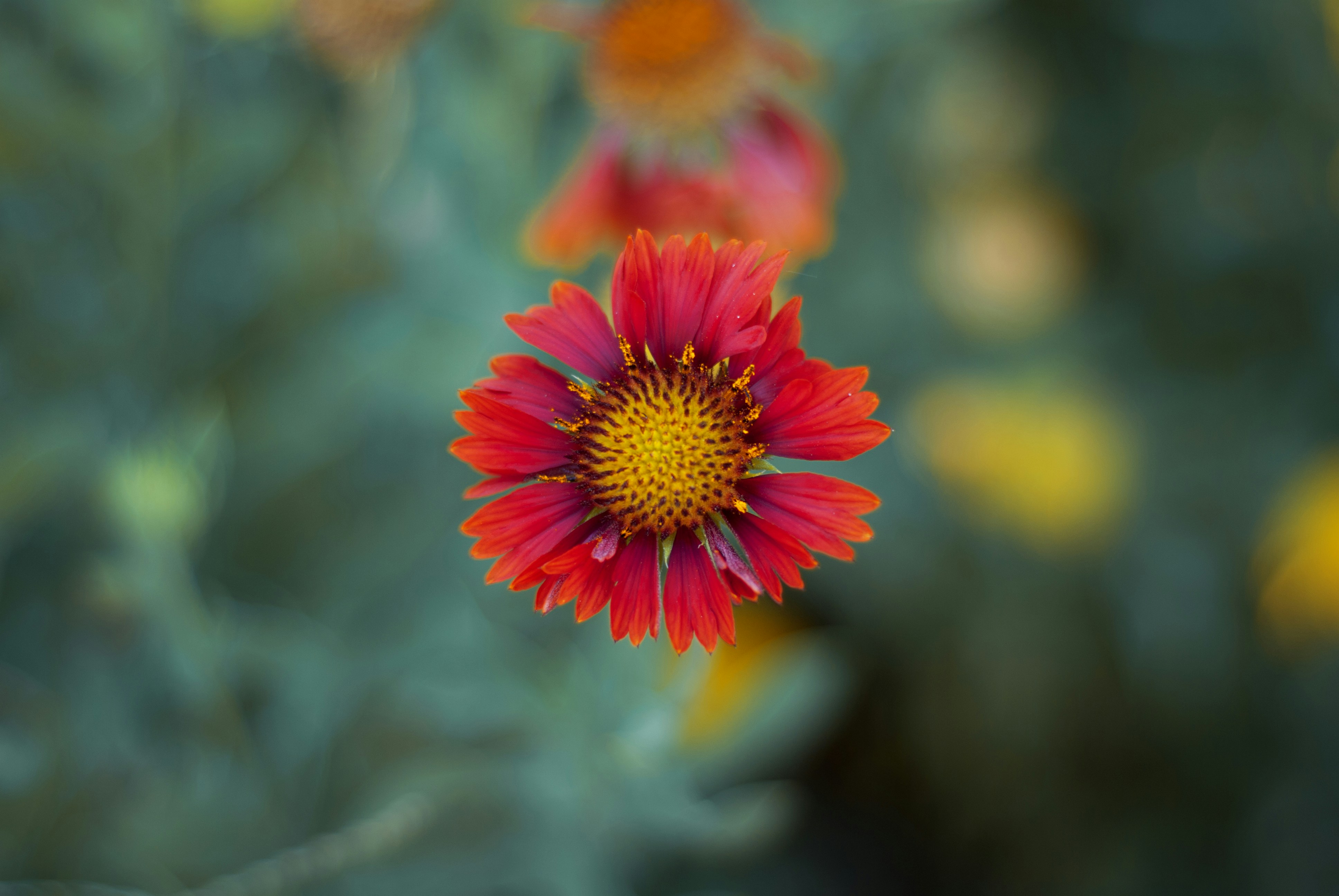 Photo by kovalskihelga