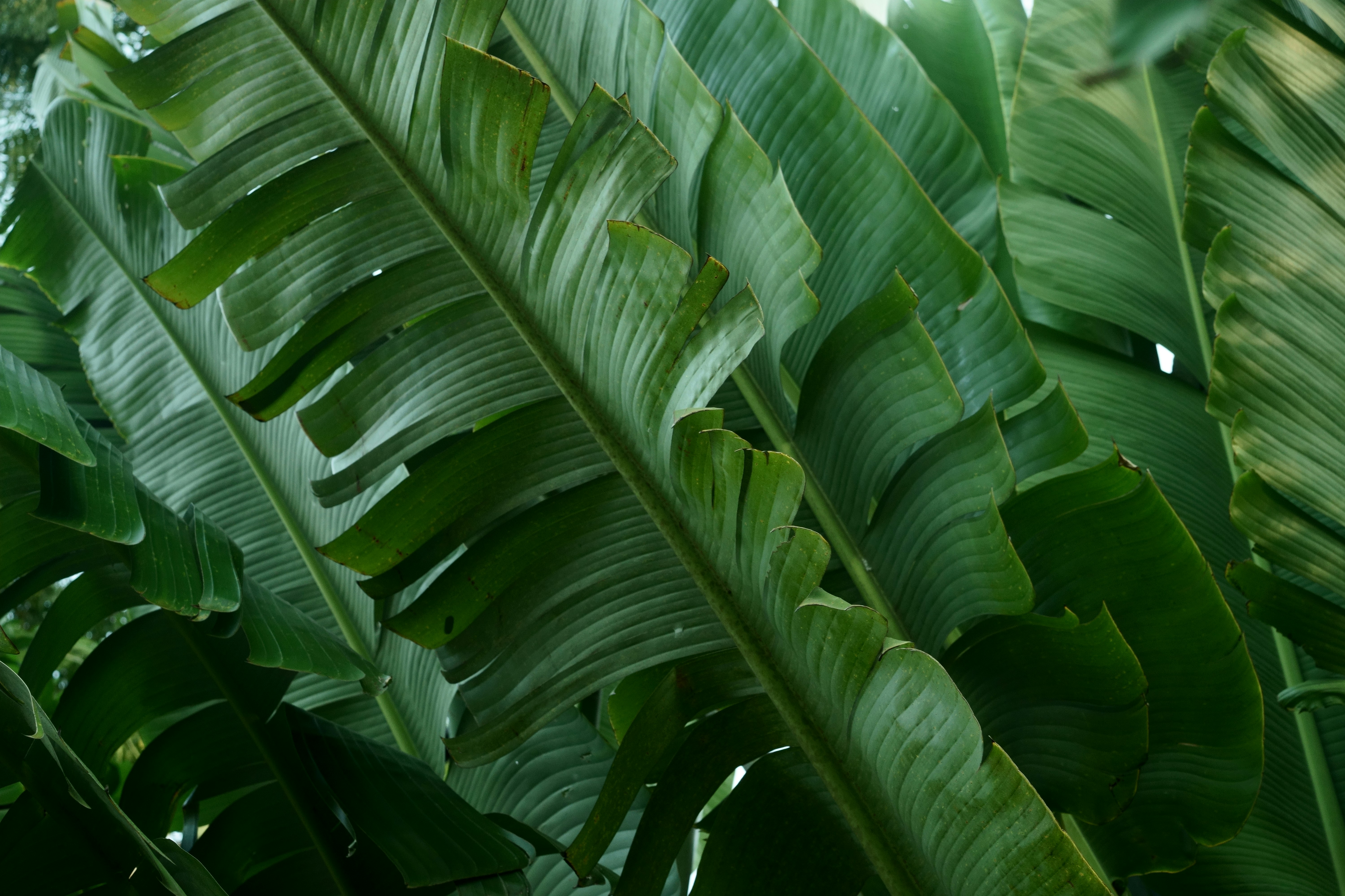 Photo by gabrielbodhi