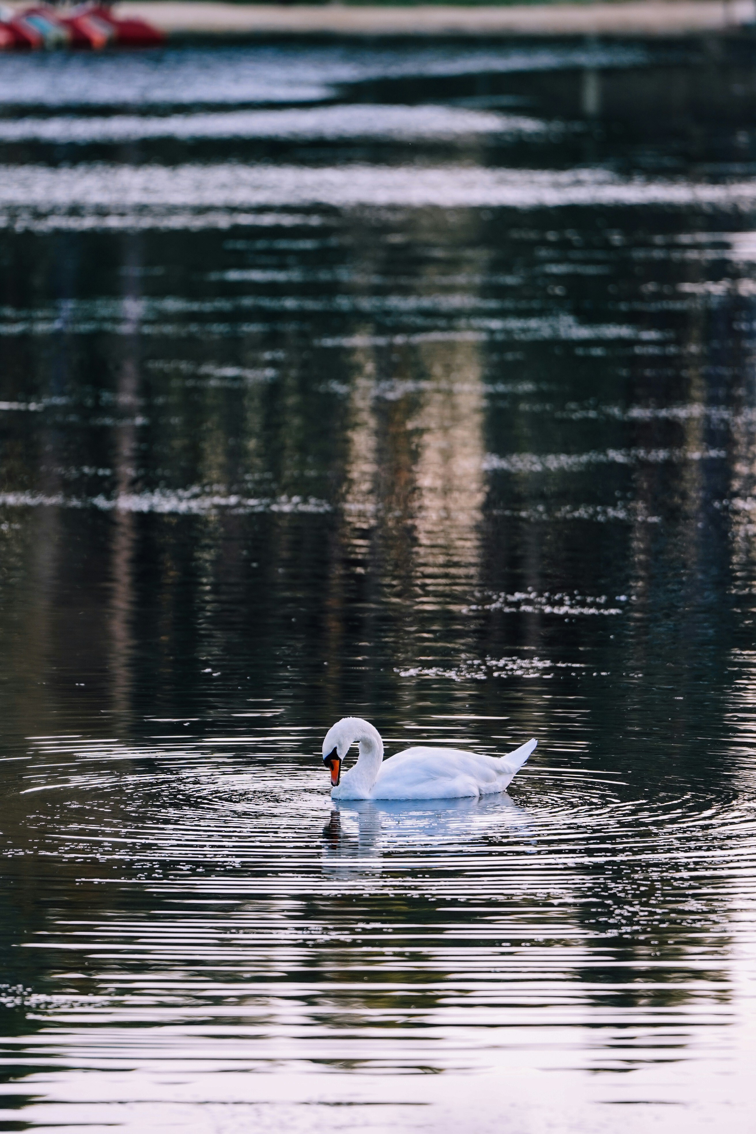 Photo by aran_vallely