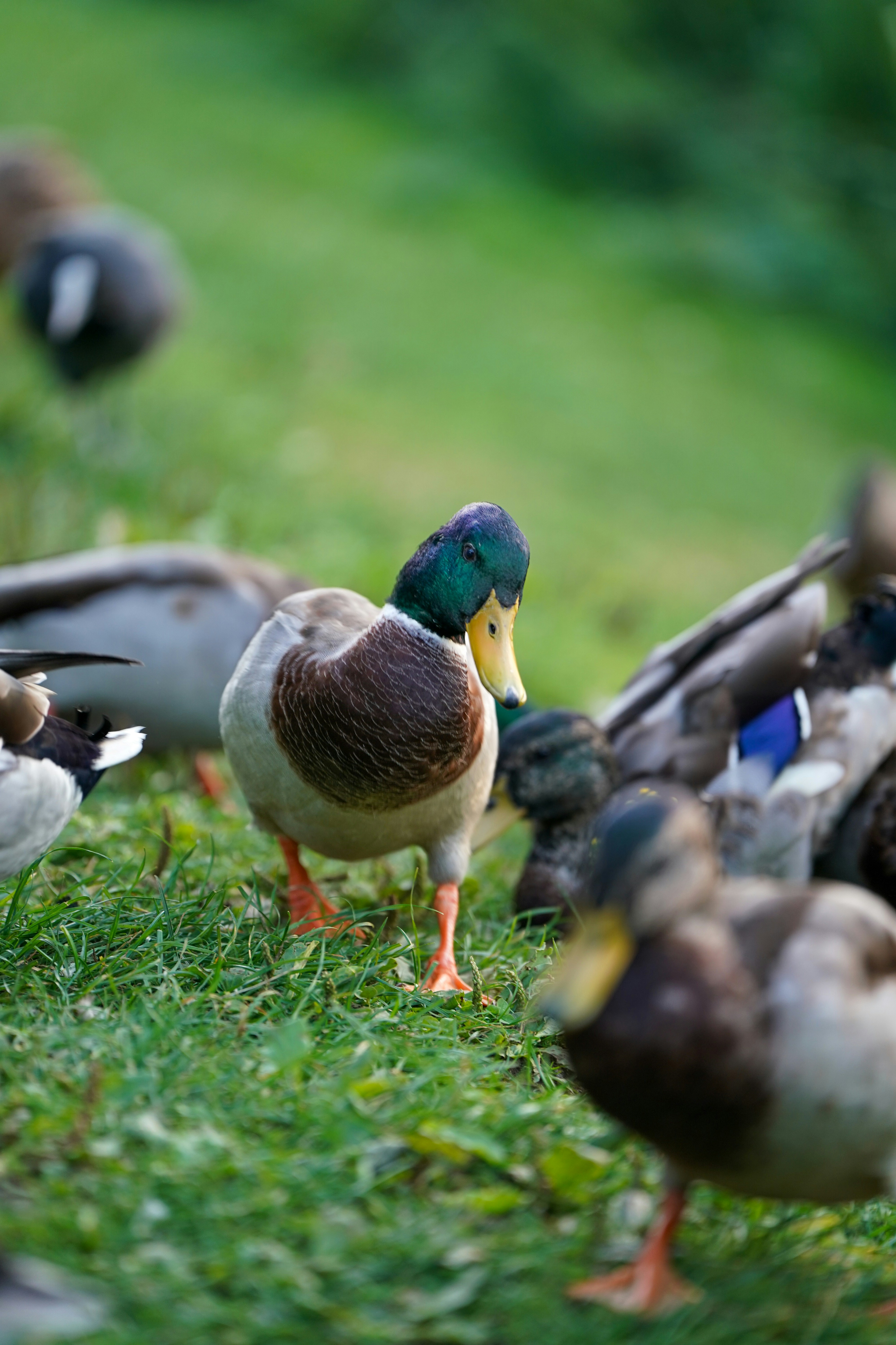 Photo by aran_vallely