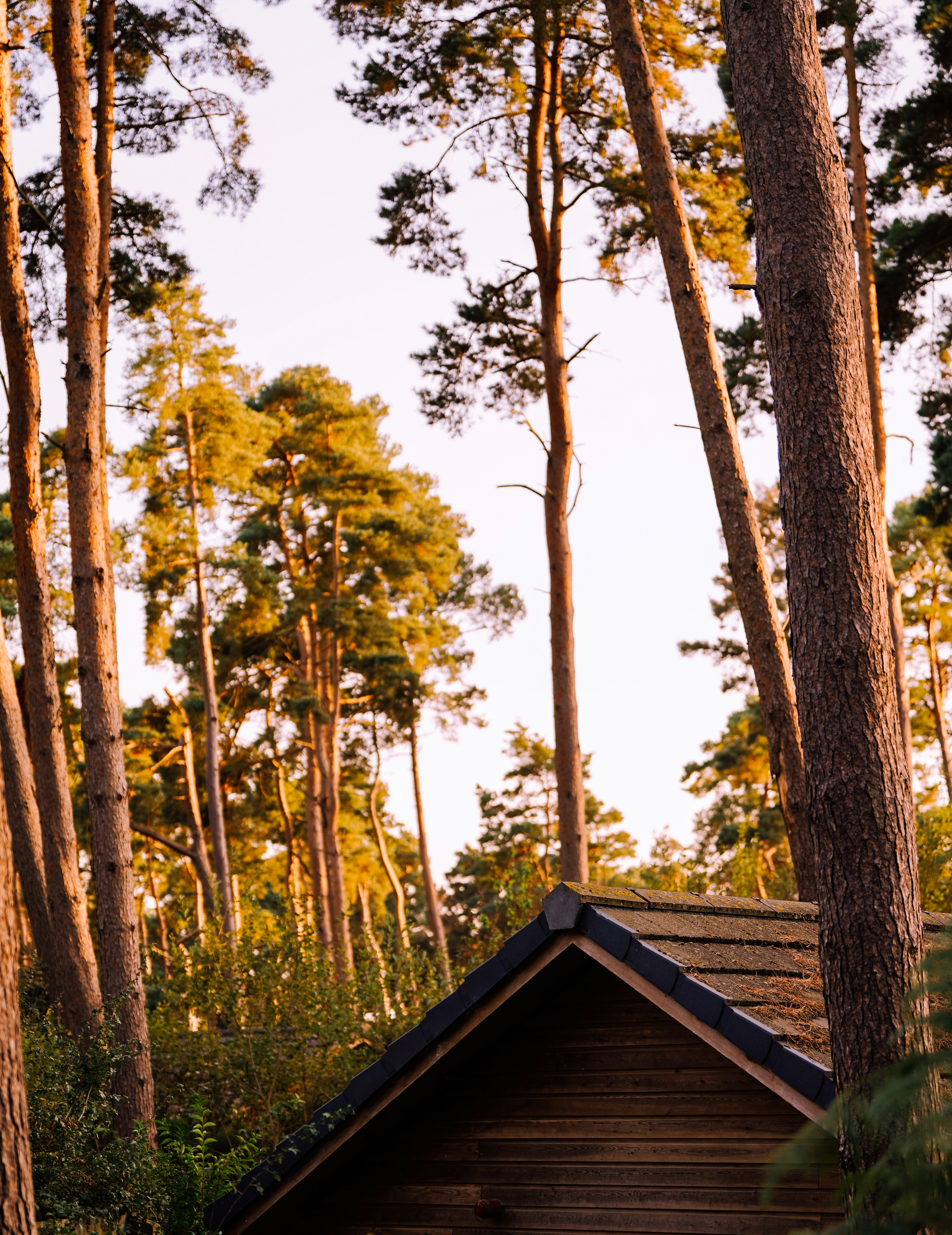 Photo by aran_vallely