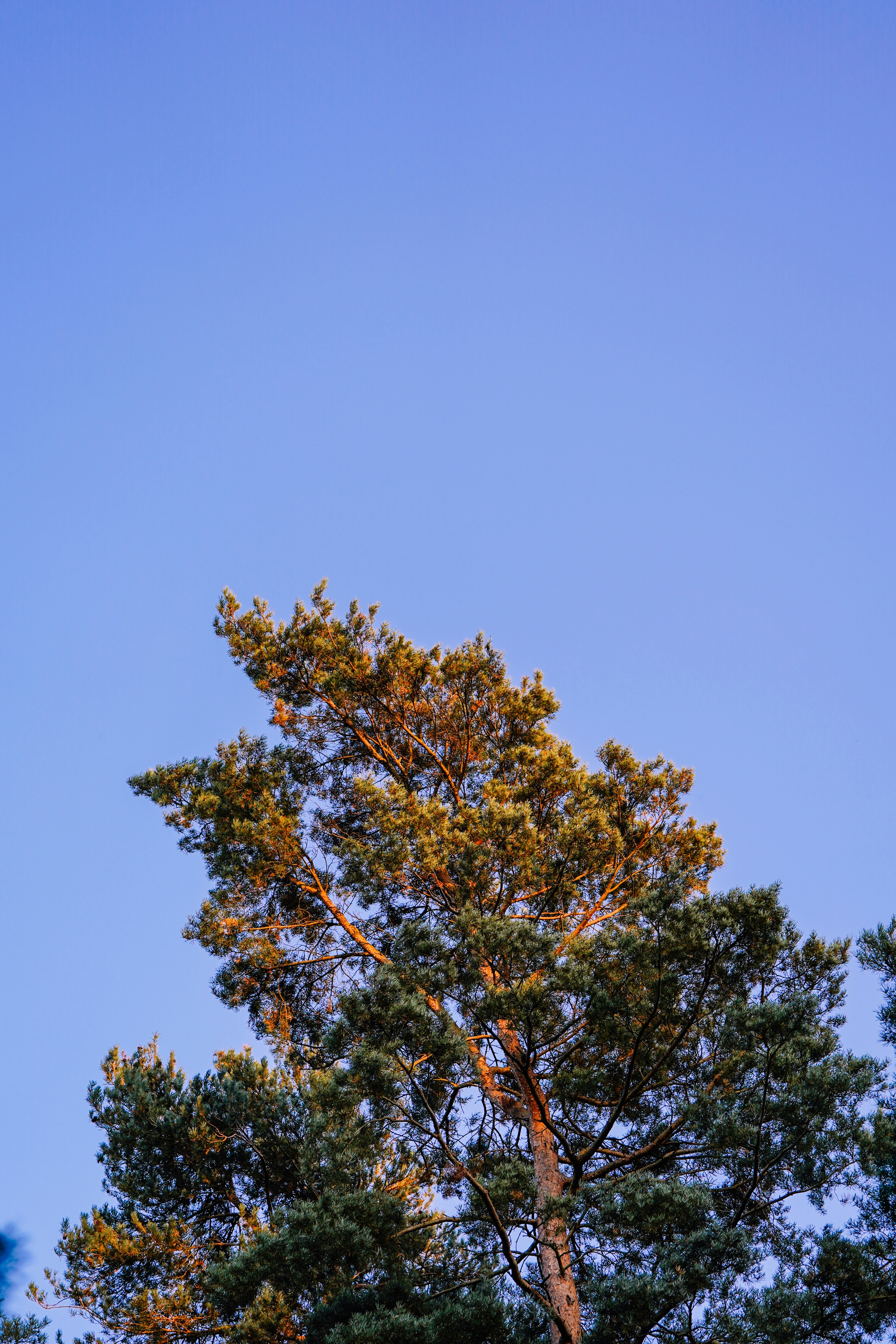 Photo by aran_vallely