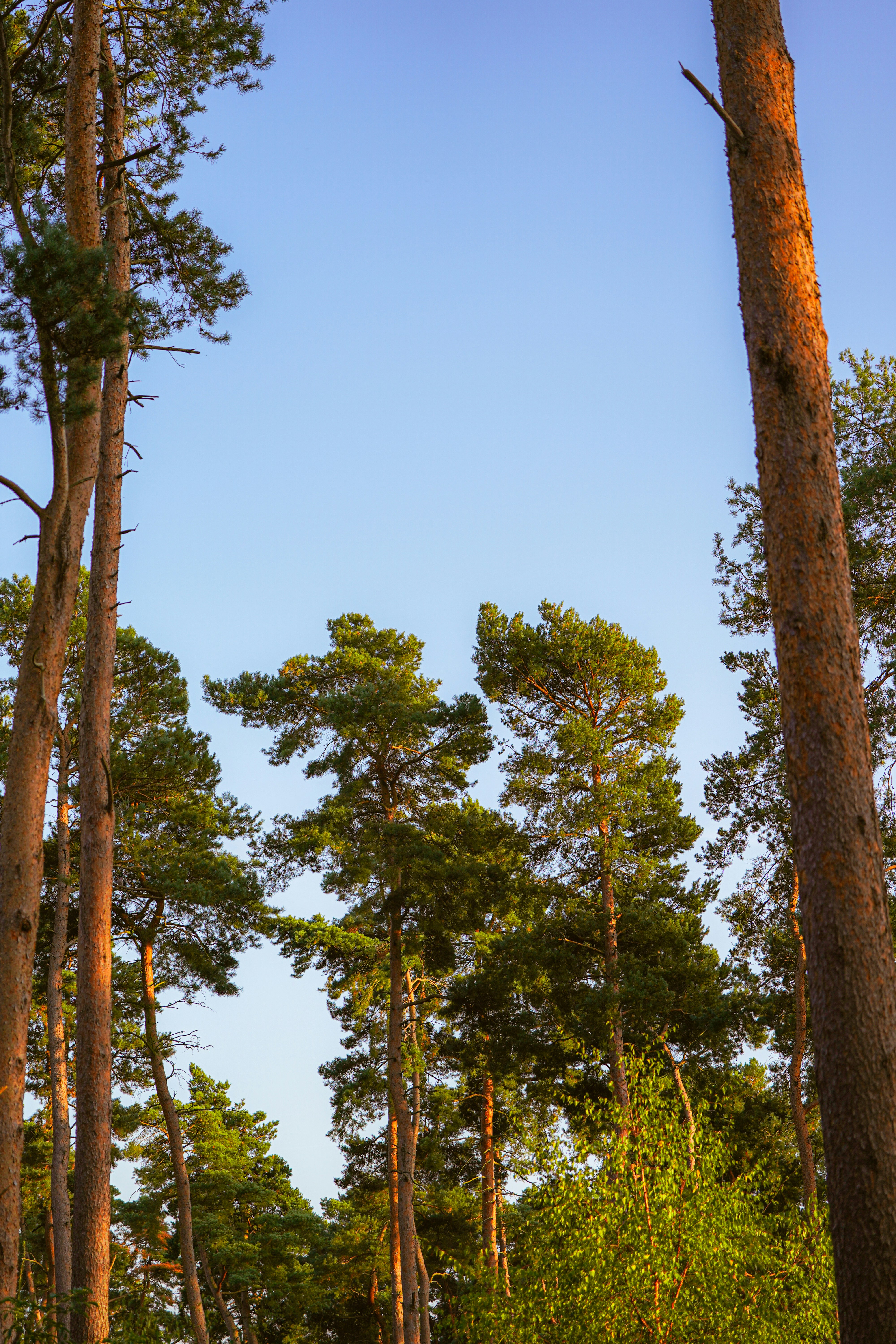 Photo by aran_vallely