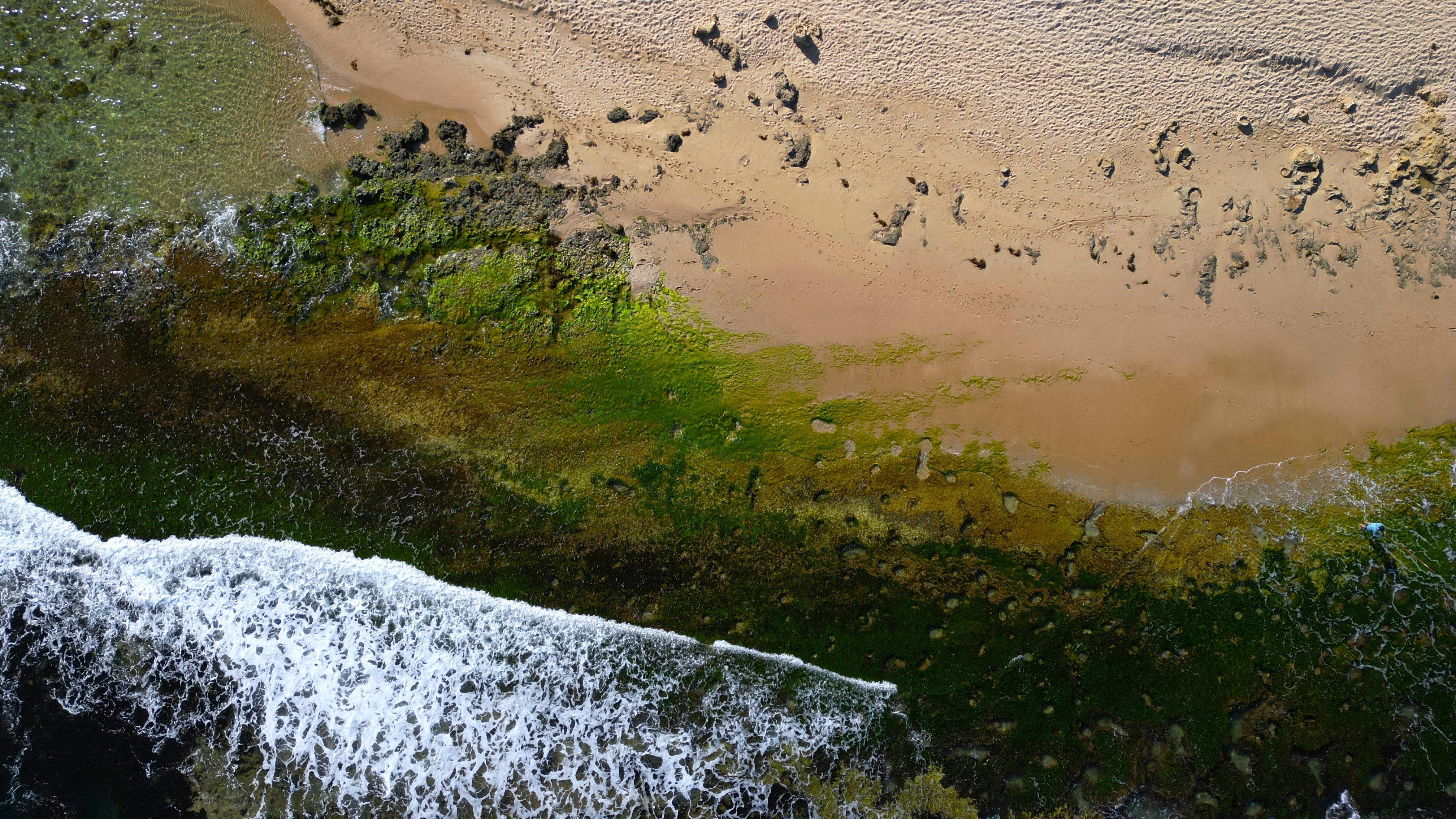 An aerial view of a sandy beach and ocean photo – Free Mandurah Image ...