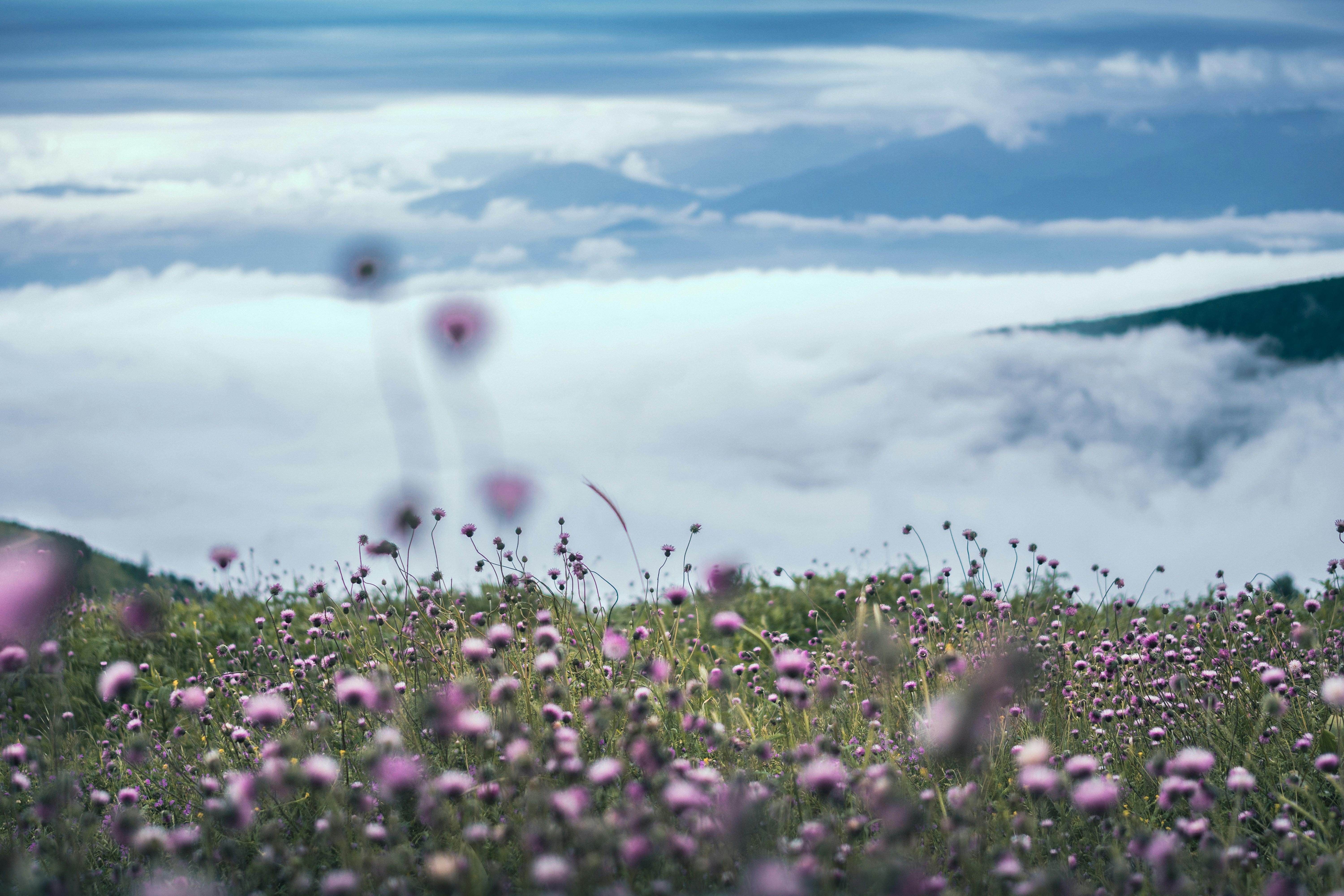 Photo by thisismasud