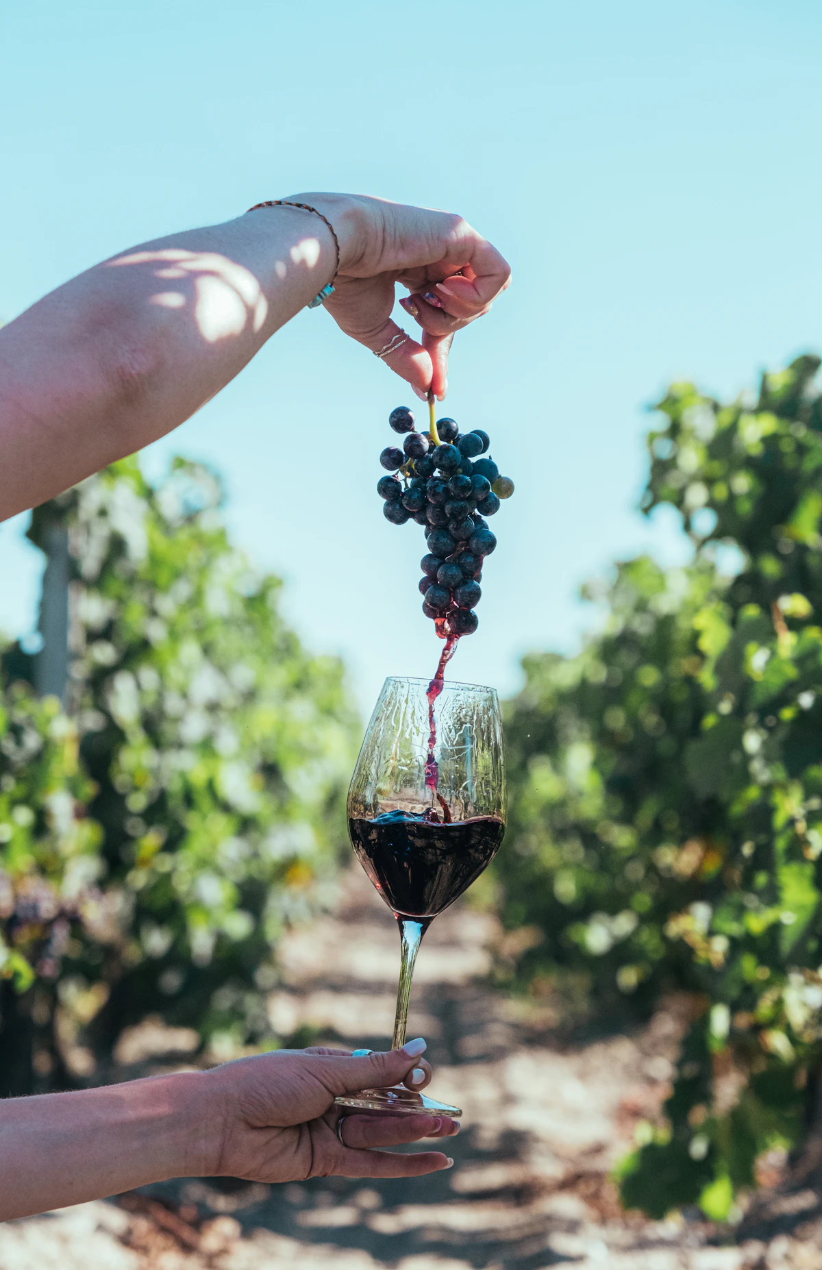 Days 4 & 5: Avignon and the grand crus of Châteauneuf-du-Pape