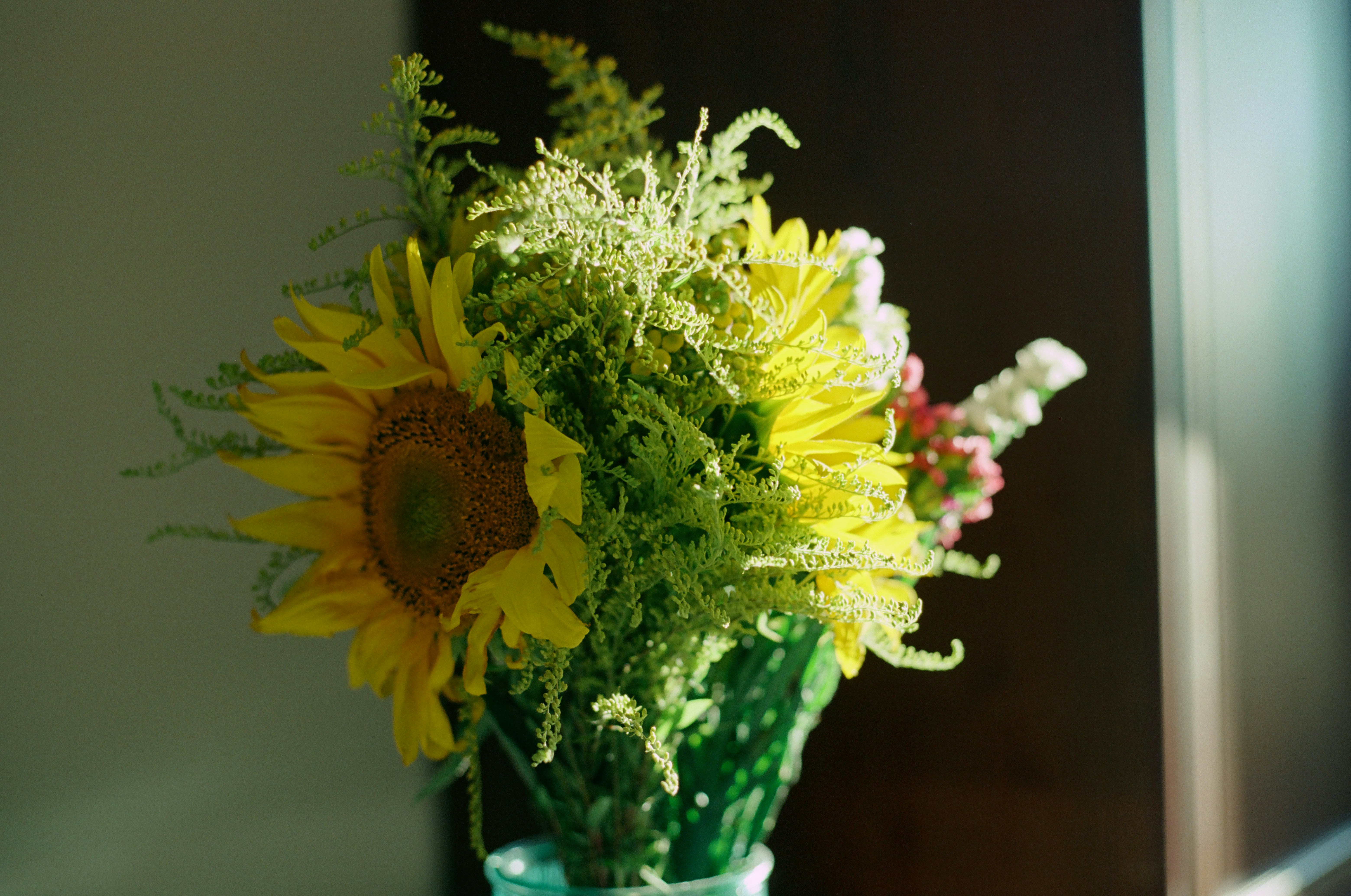 Photo by mineral_of_demon