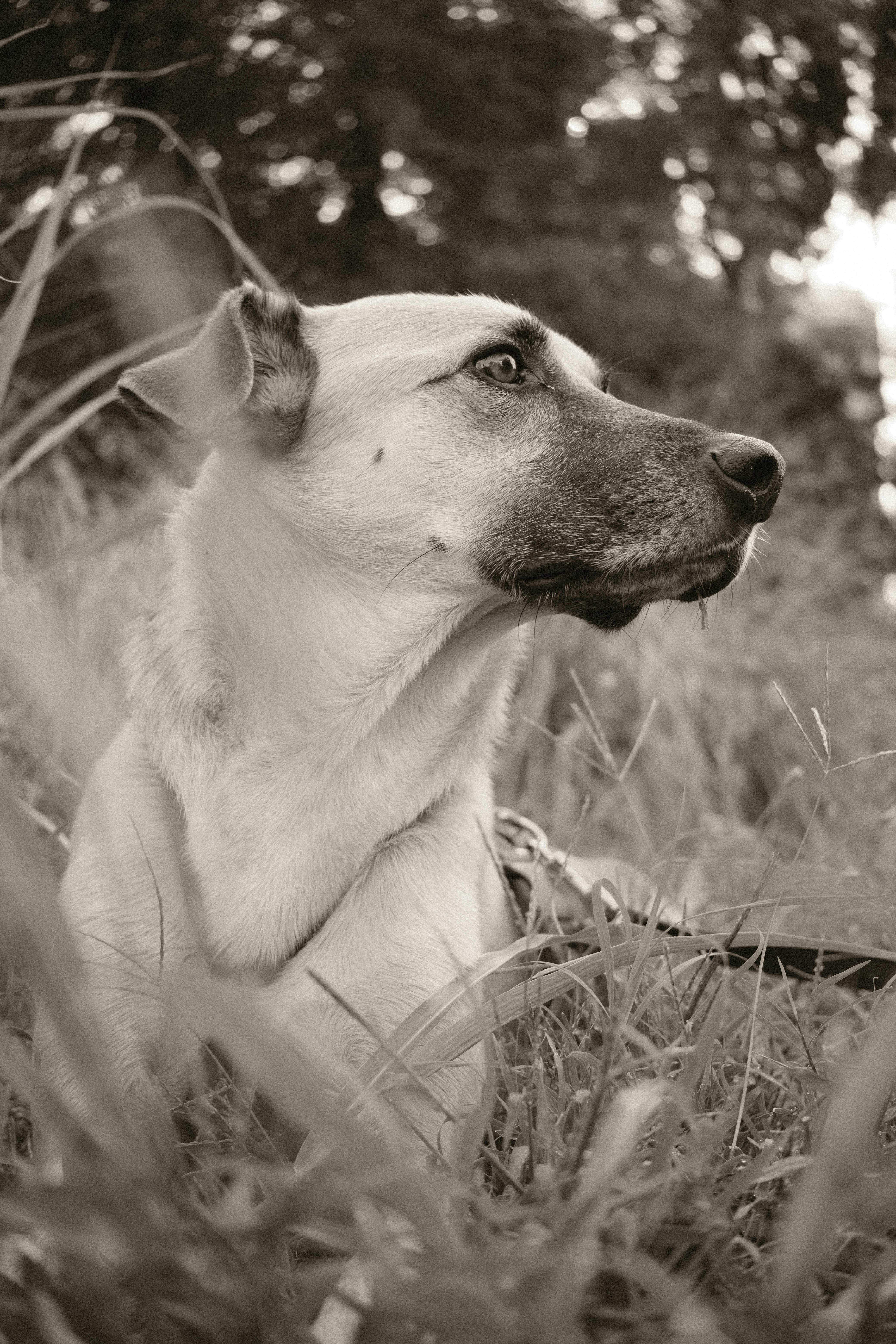Photo by davidephotos