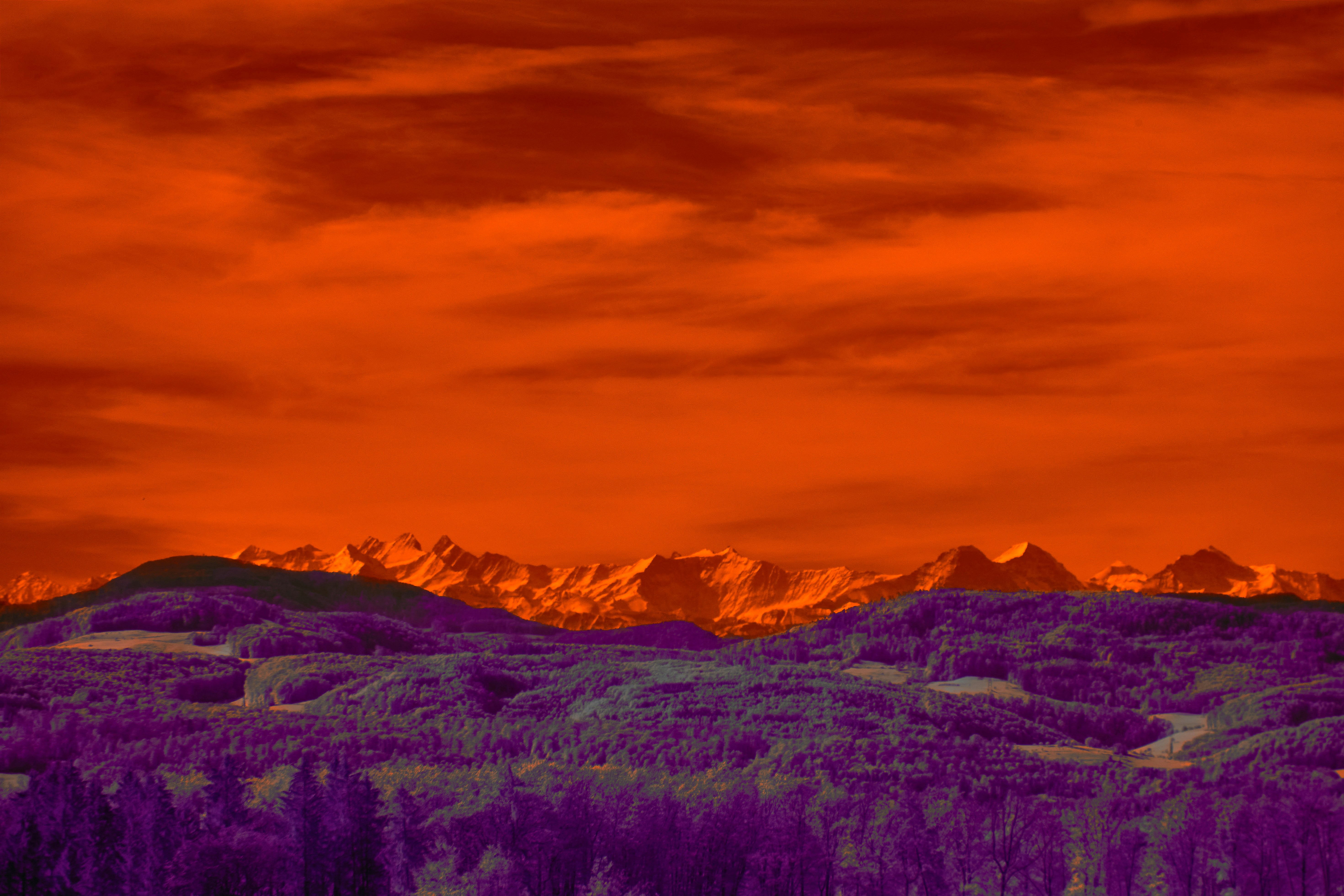 Photo by wolfgang_hasselmann