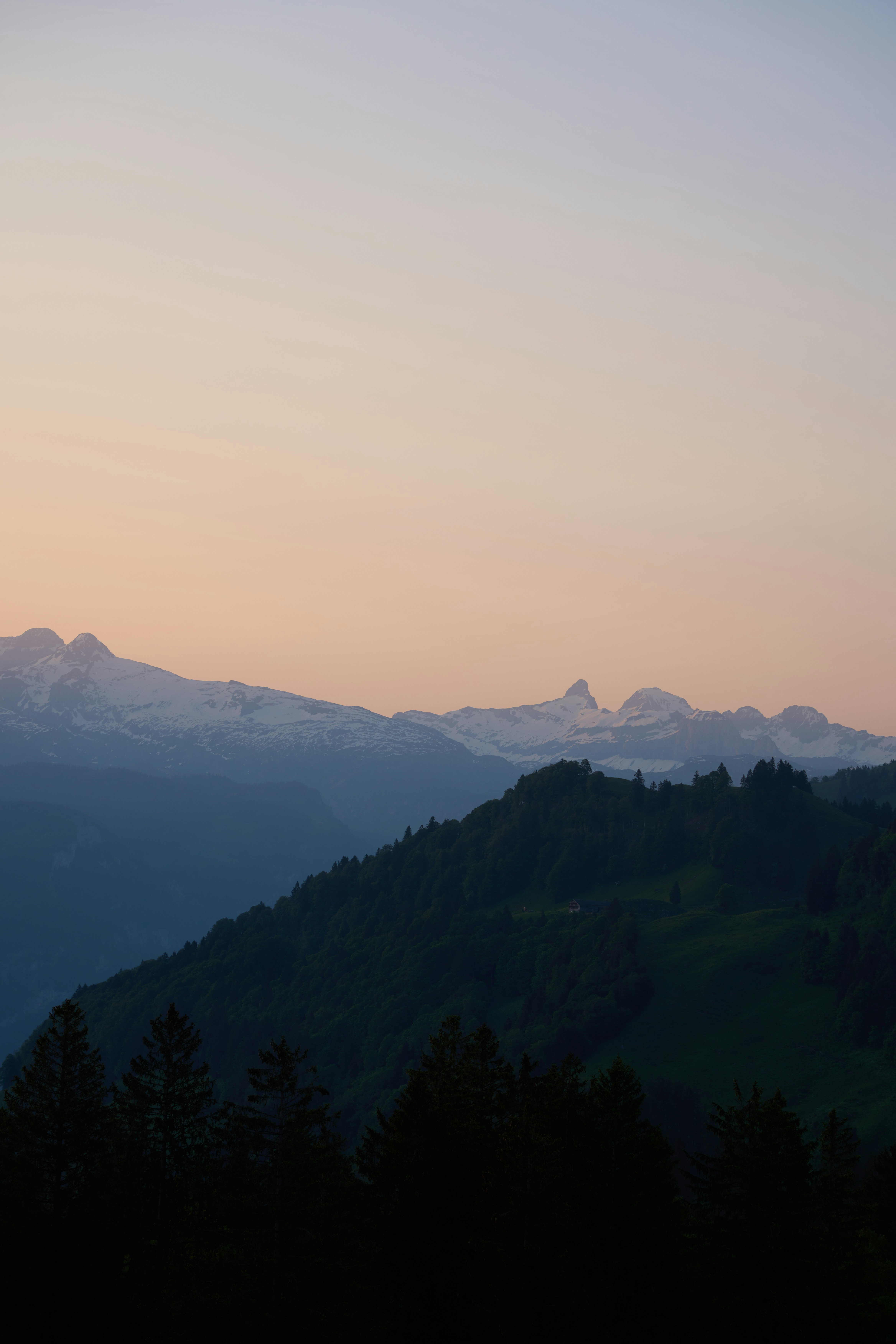 Photo by wolfgang_hasselmann