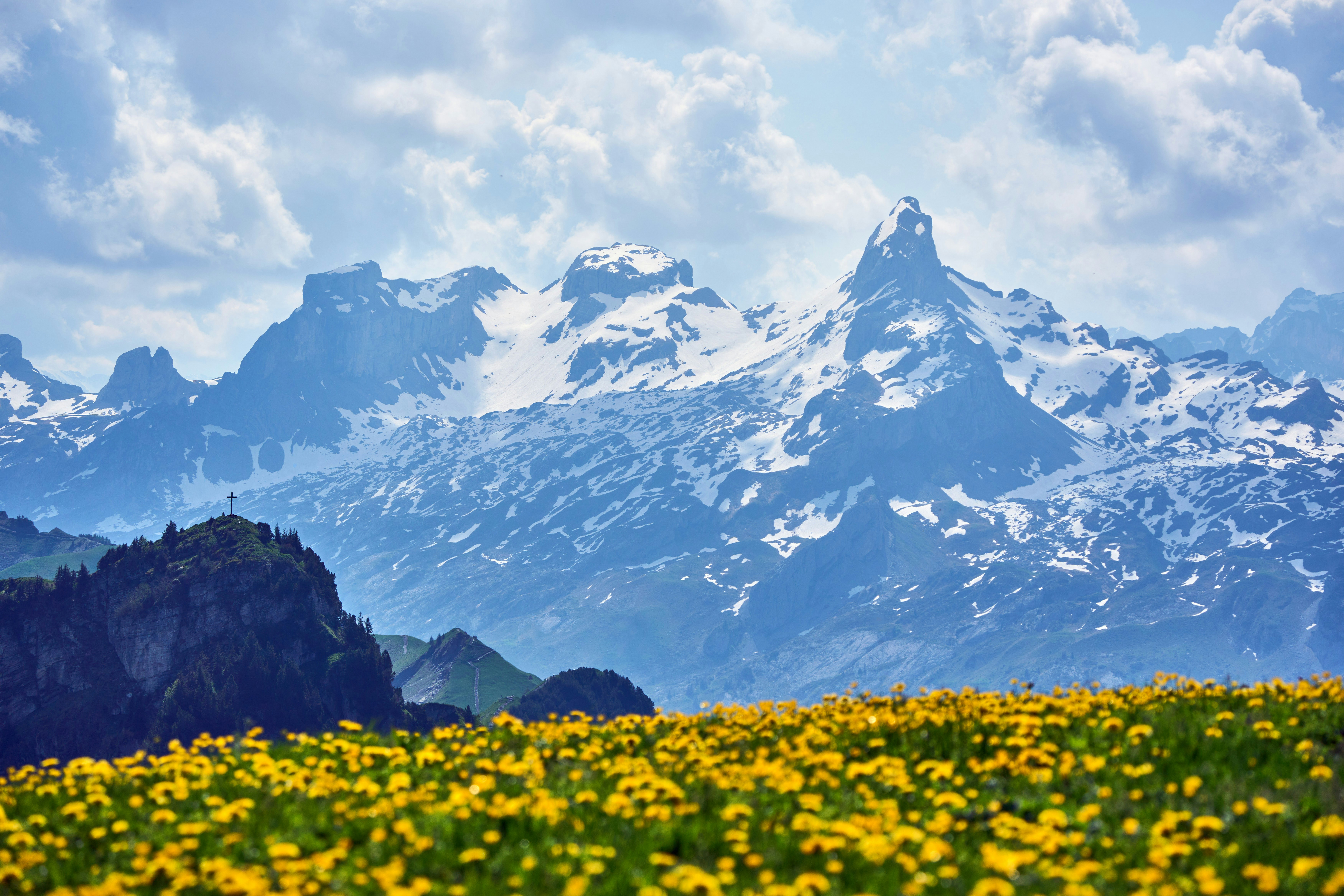 Photo by wolfgang_hasselmann