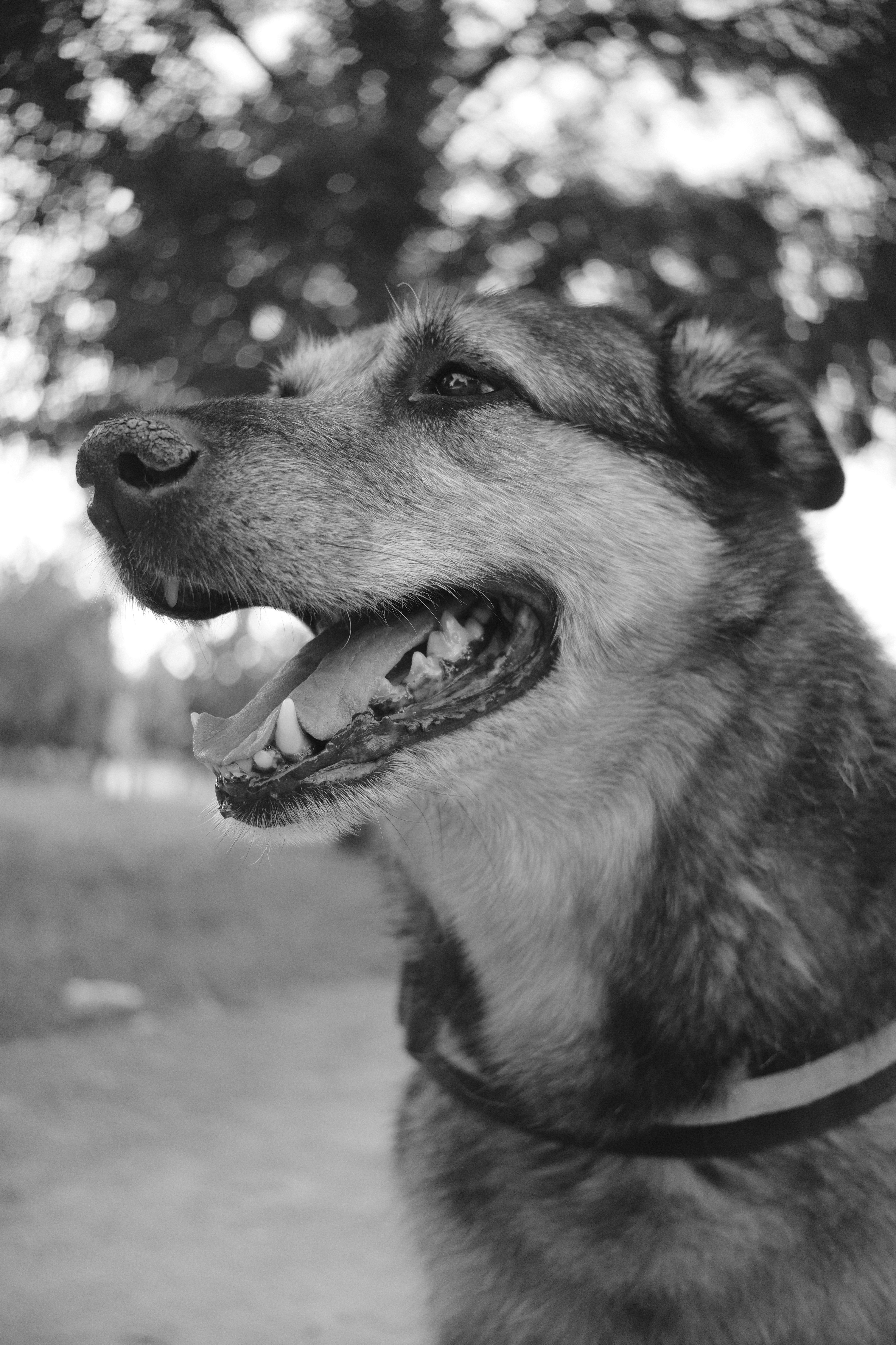 Photo by davidephotos