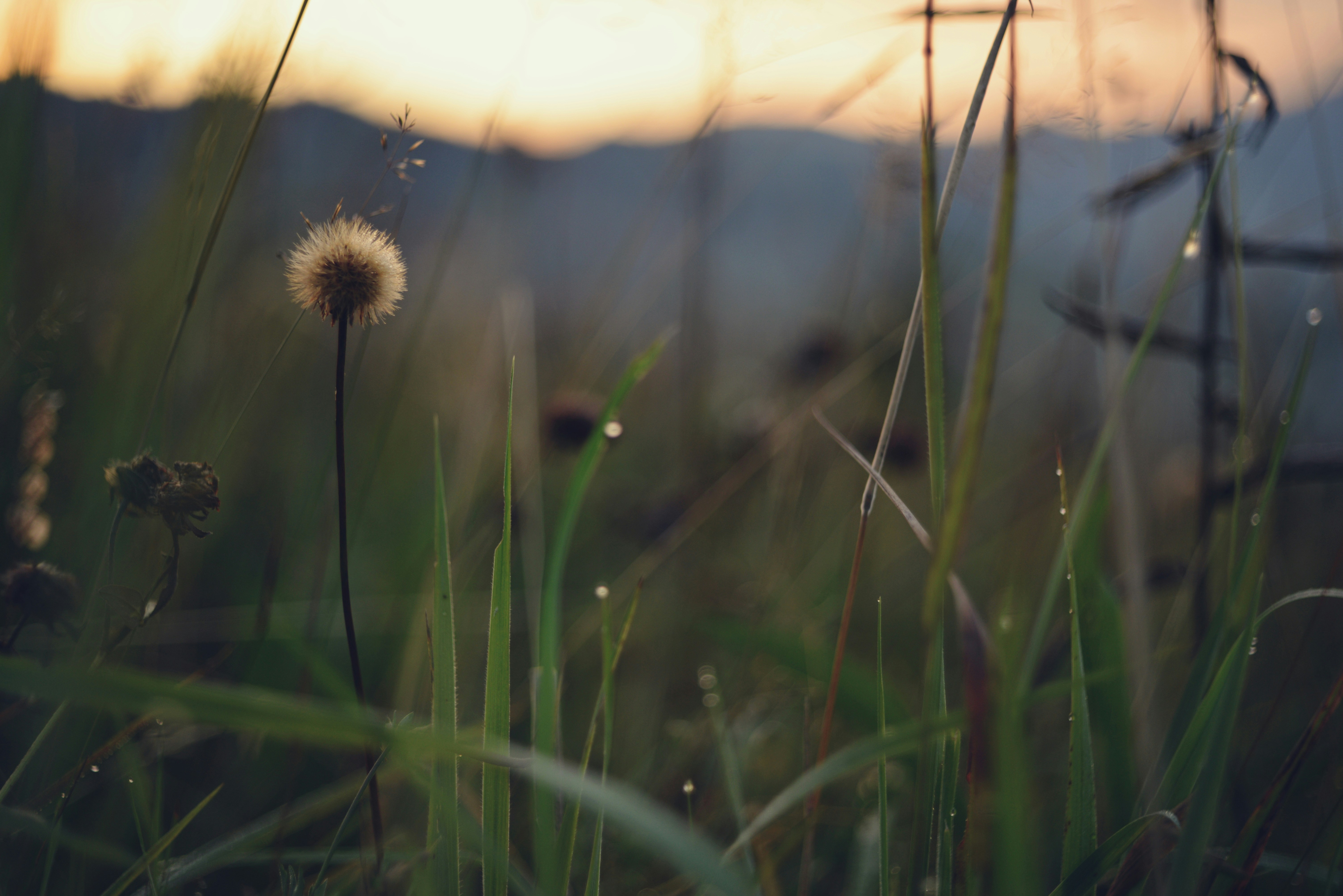 Photo by cherstve_pechivo