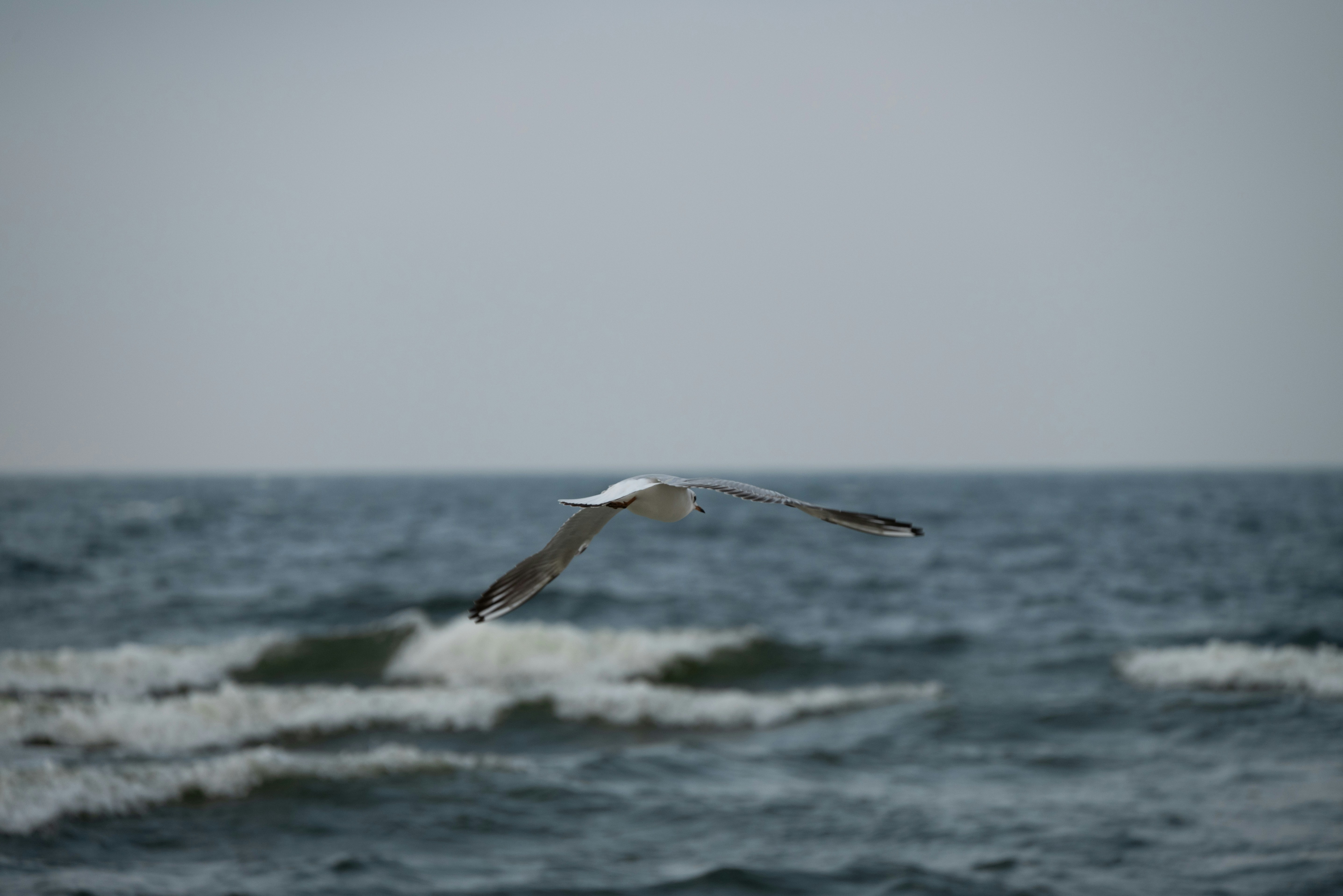 Photo by byeduck