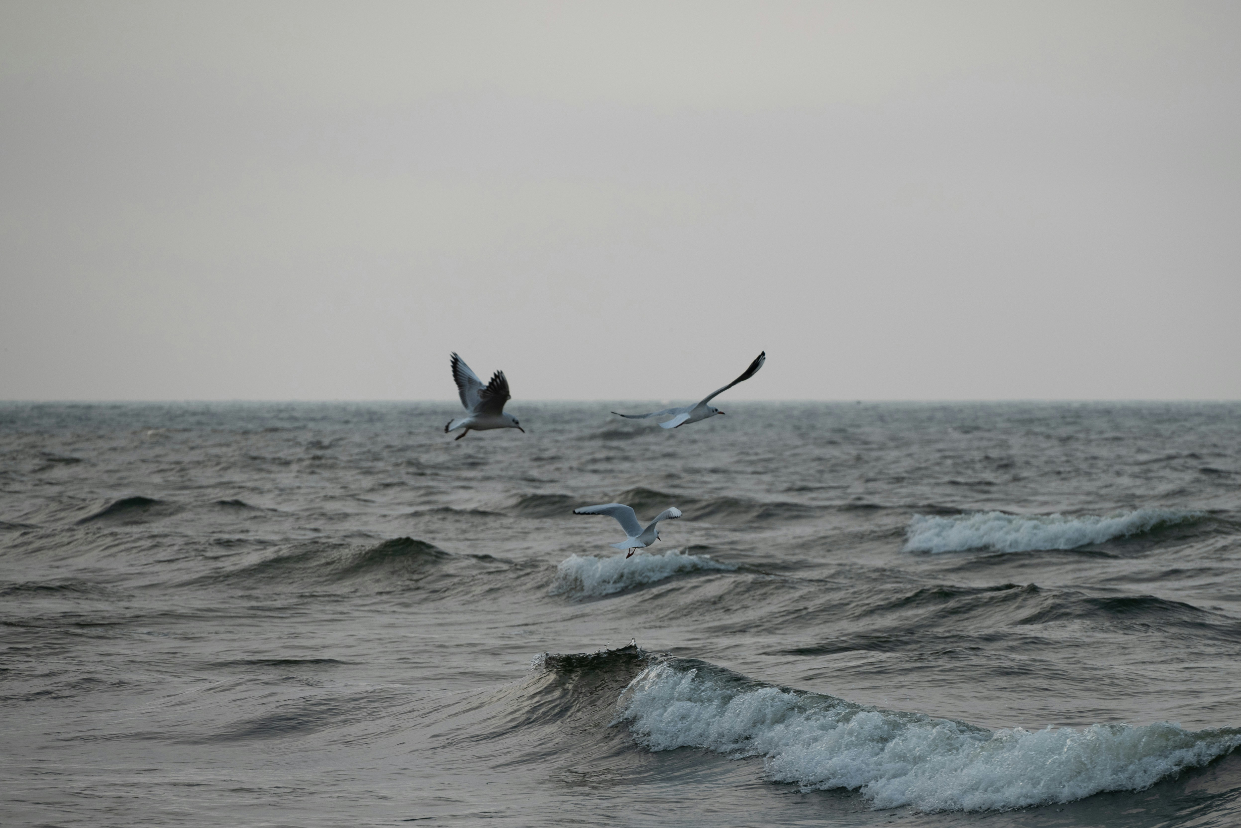 Photo by byeduck