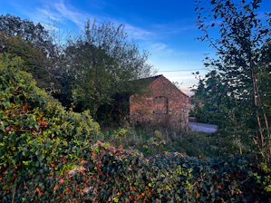 An old brick building sitting in the middle of a forest
