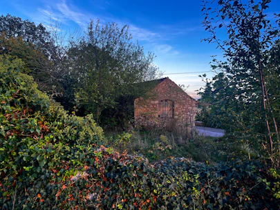 An old brick building sitting in the middle of a forest