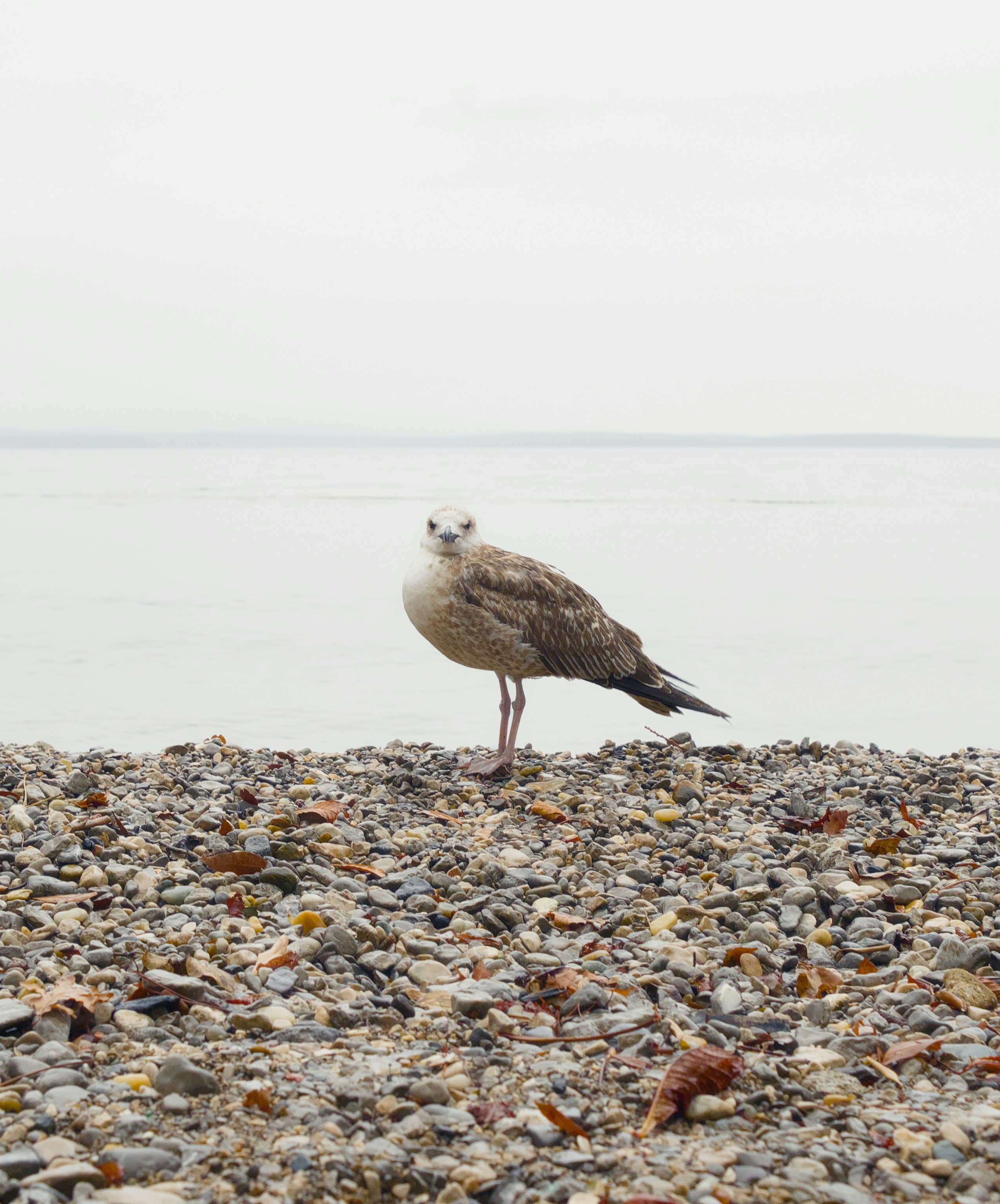 Photo by donkeyradish