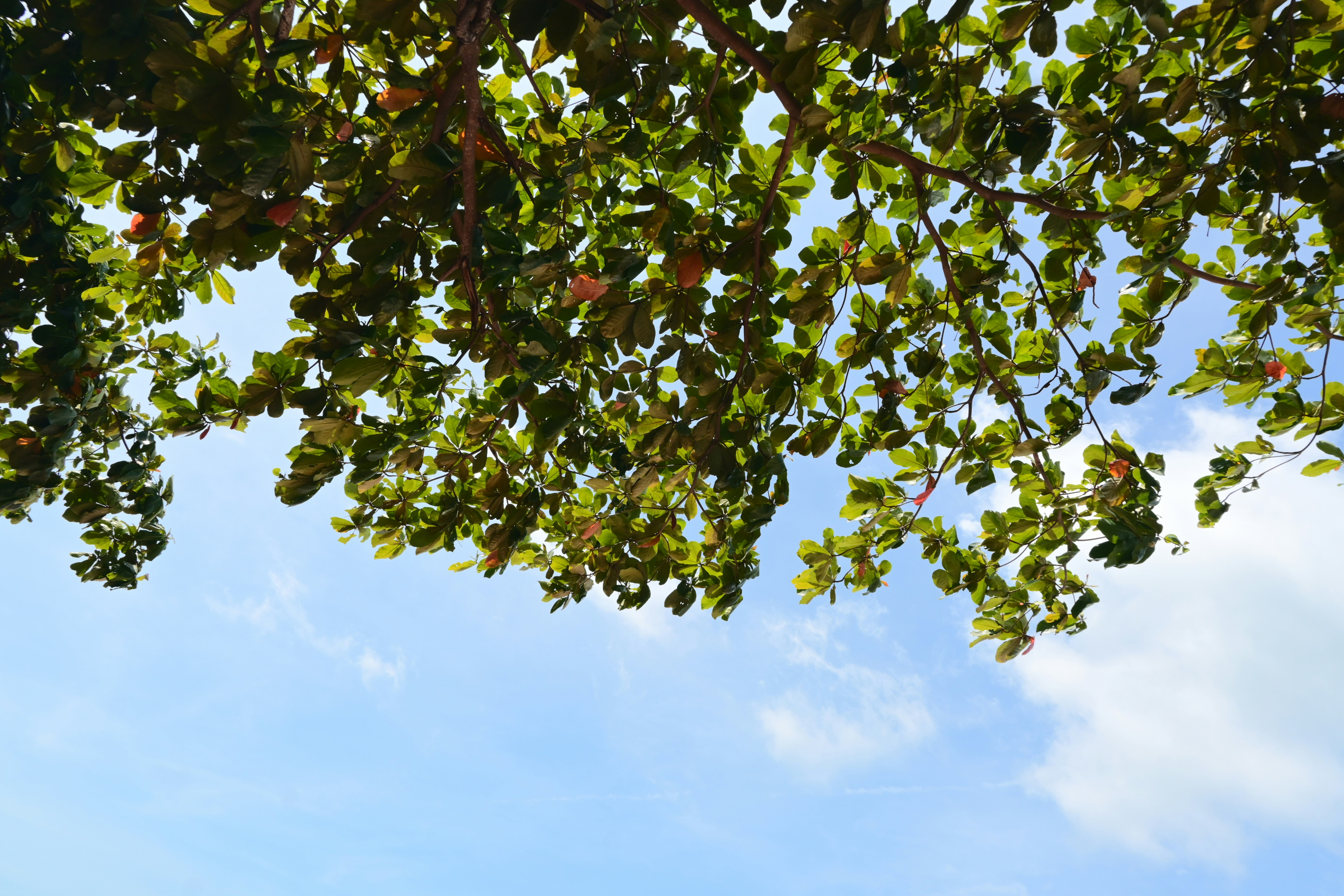 Photo by yejiangyang