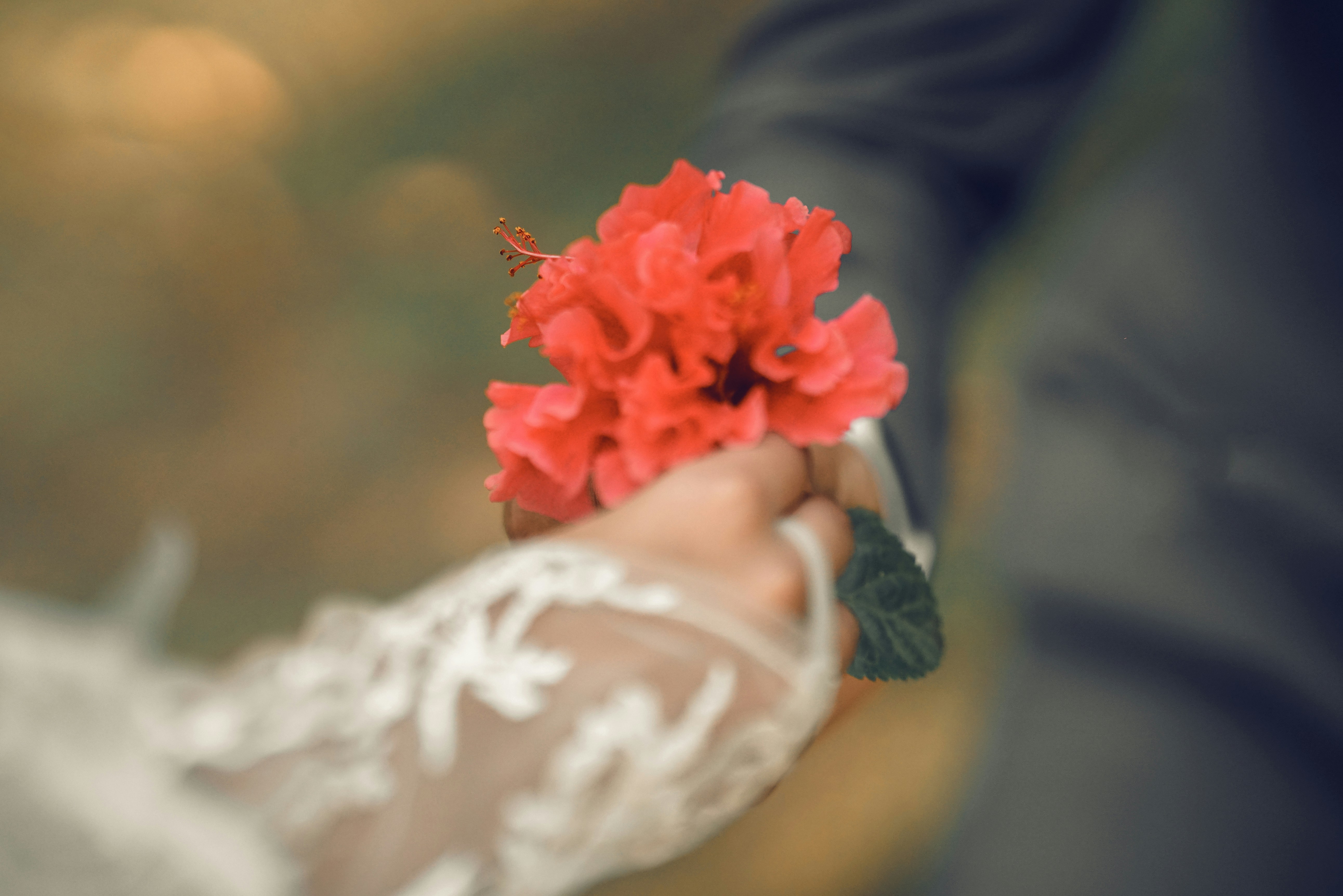 A close up of a person holding a bouquet of flowers