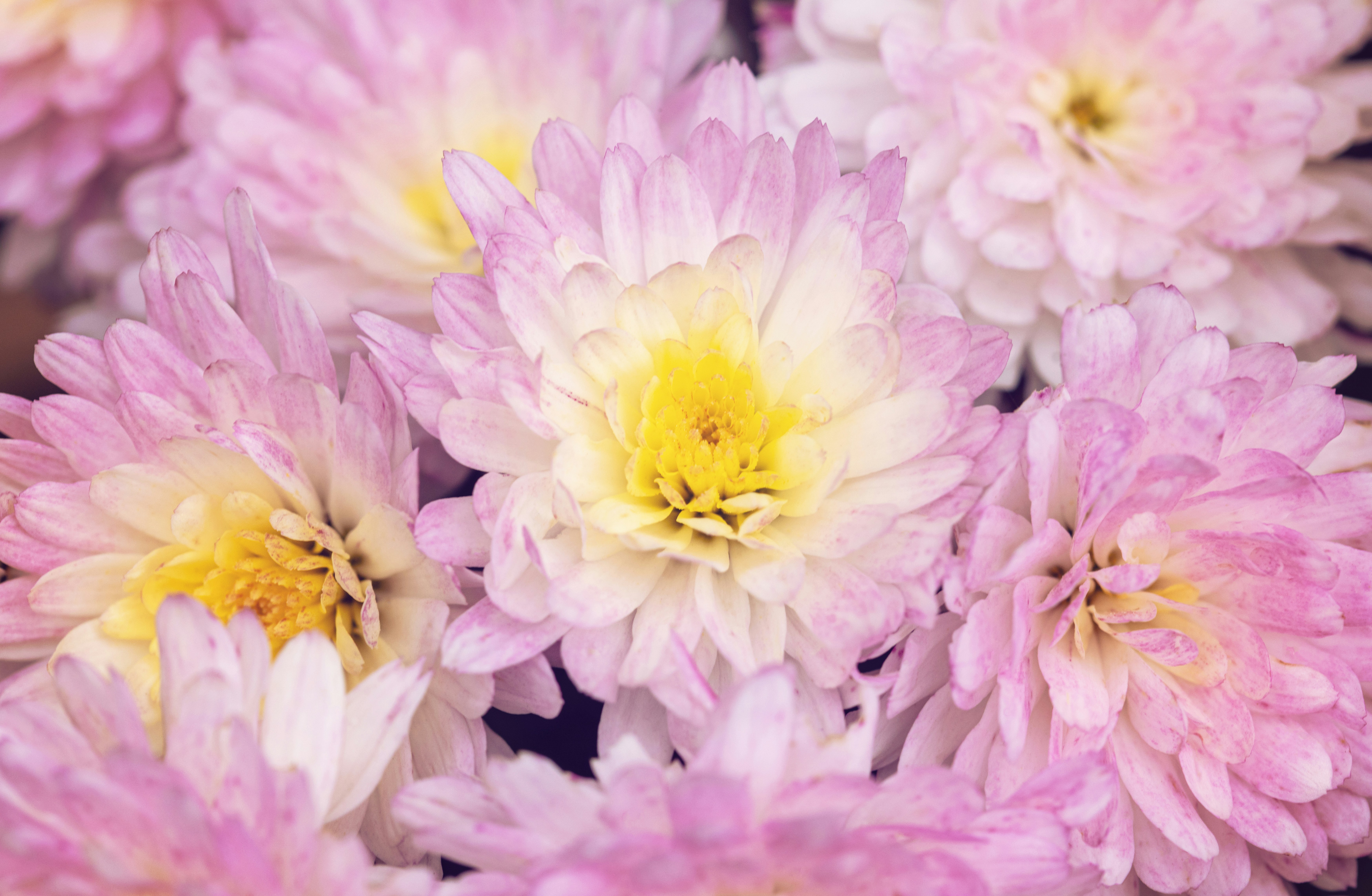 Photo by nataliekinnear