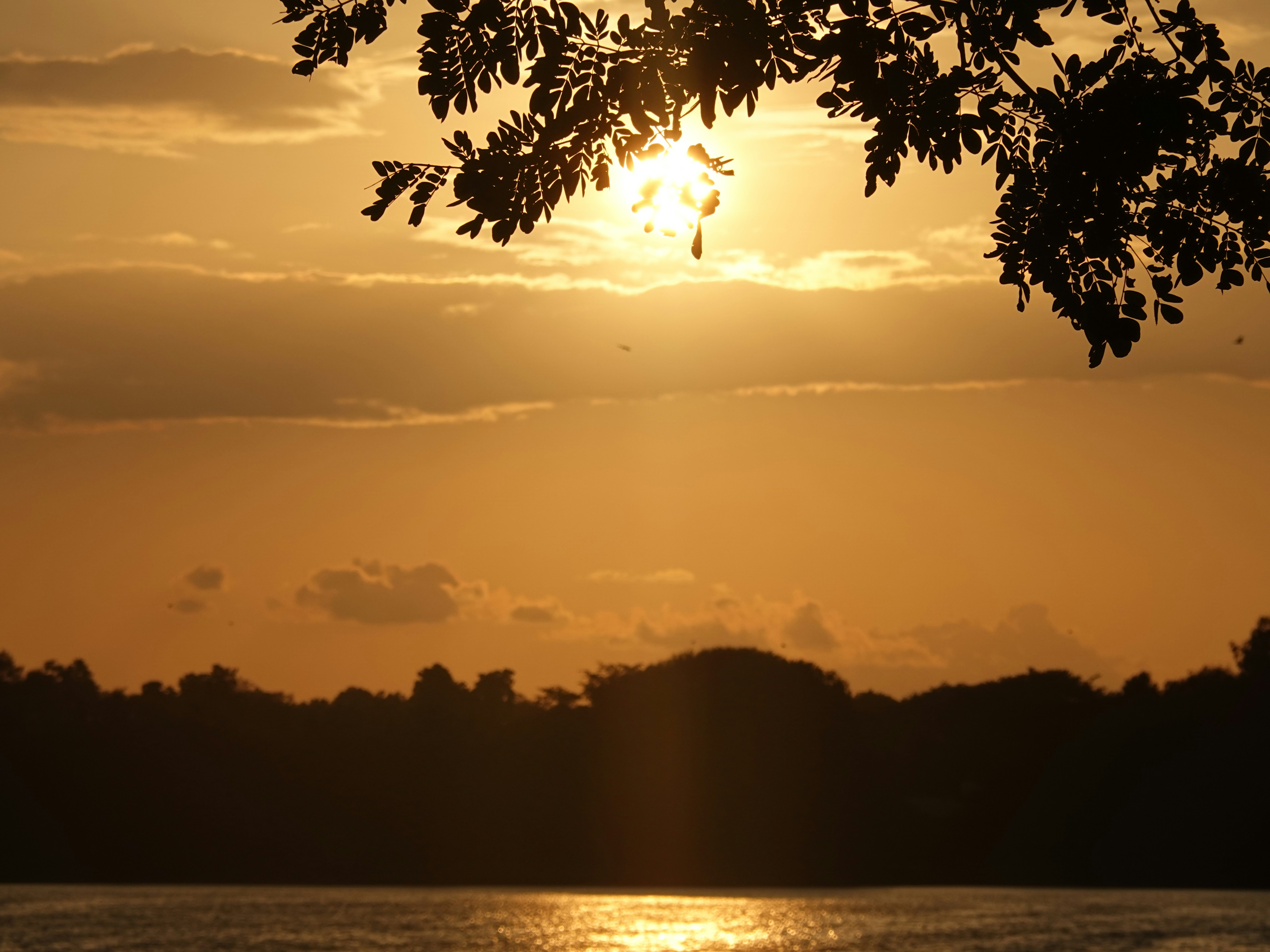 Photo by jayathir_ayachit