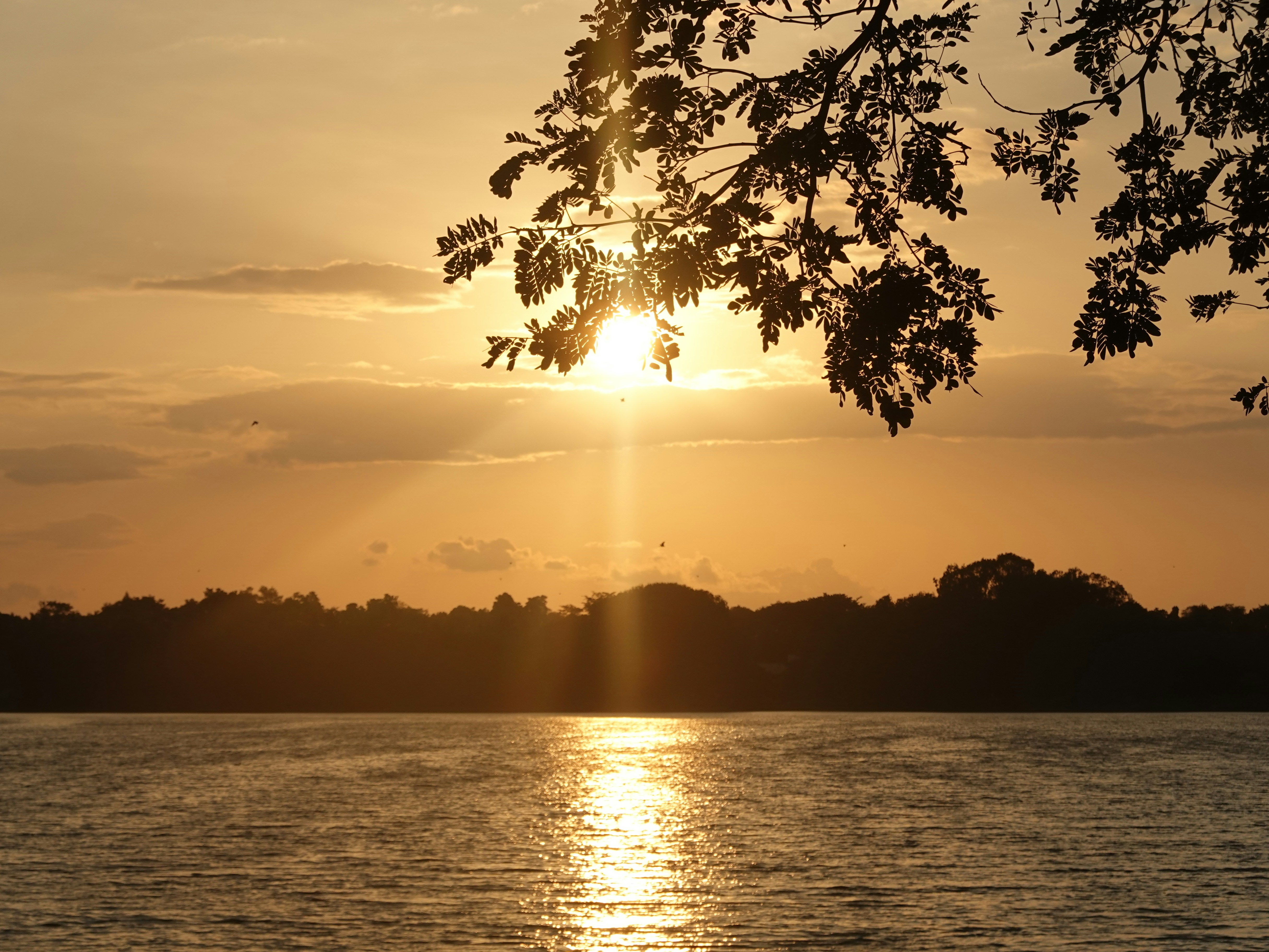 Photo by jayathir_ayachit