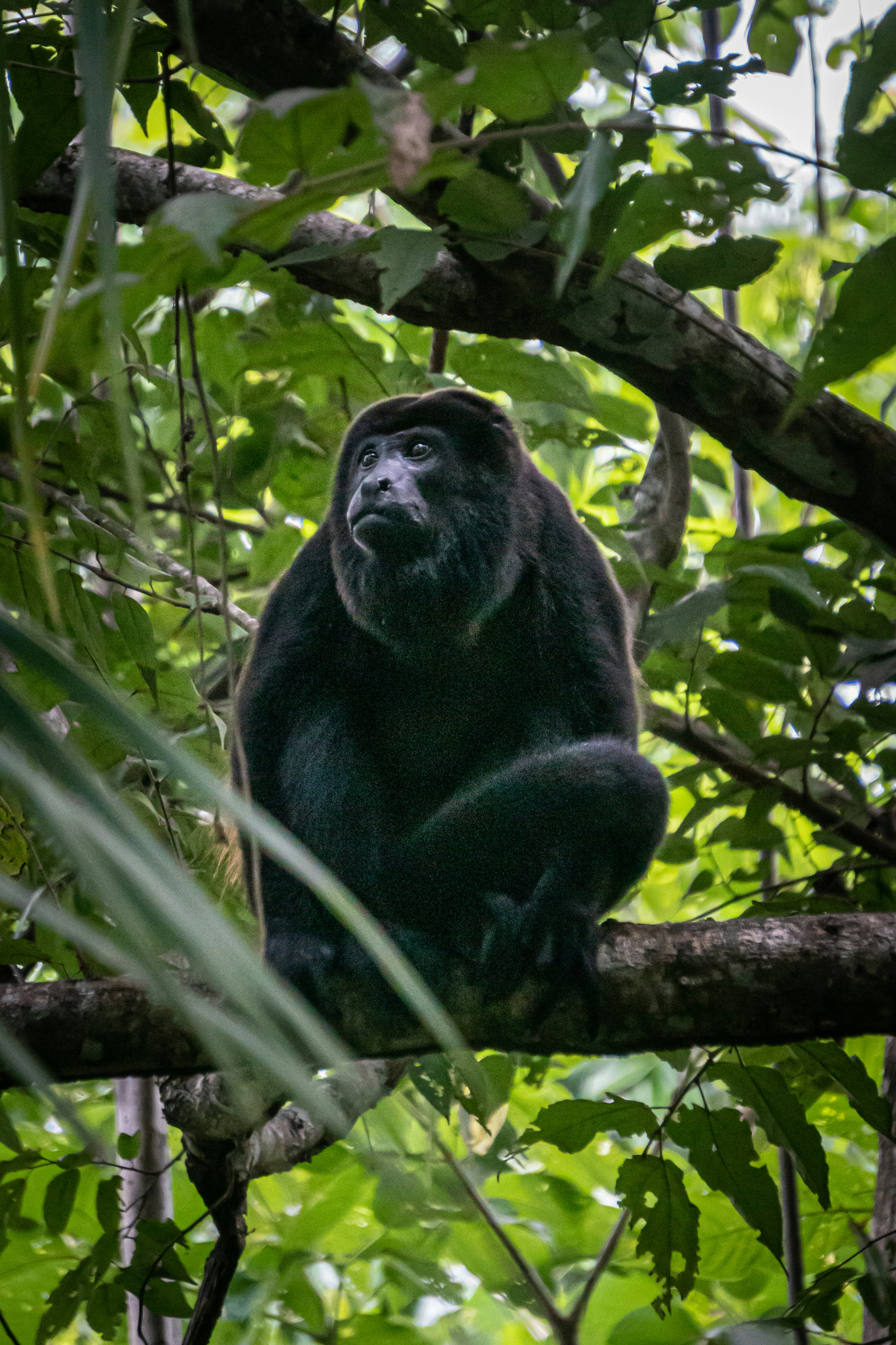 Photo by ericgilbertsen