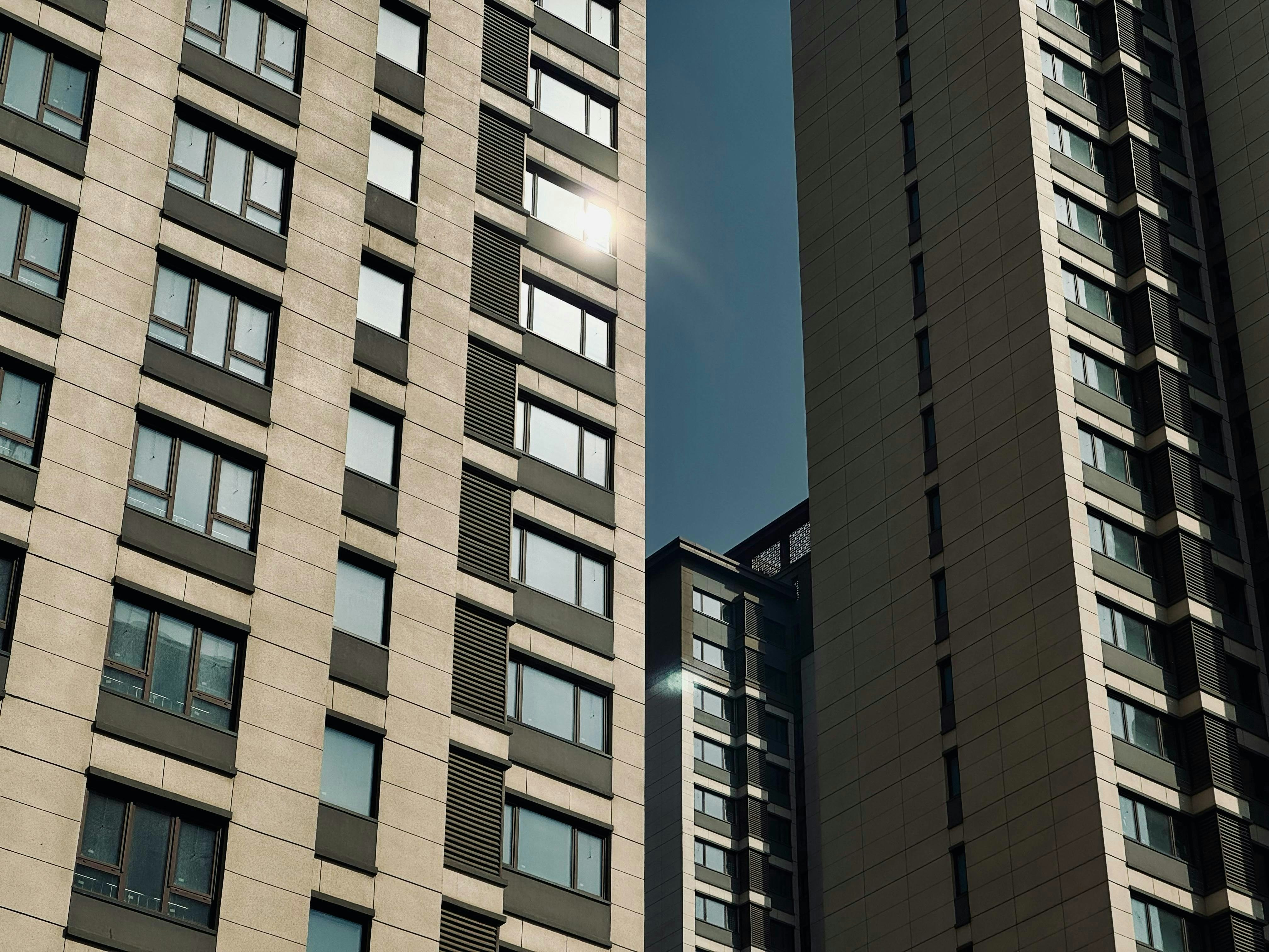 Photo by sattvasongbird