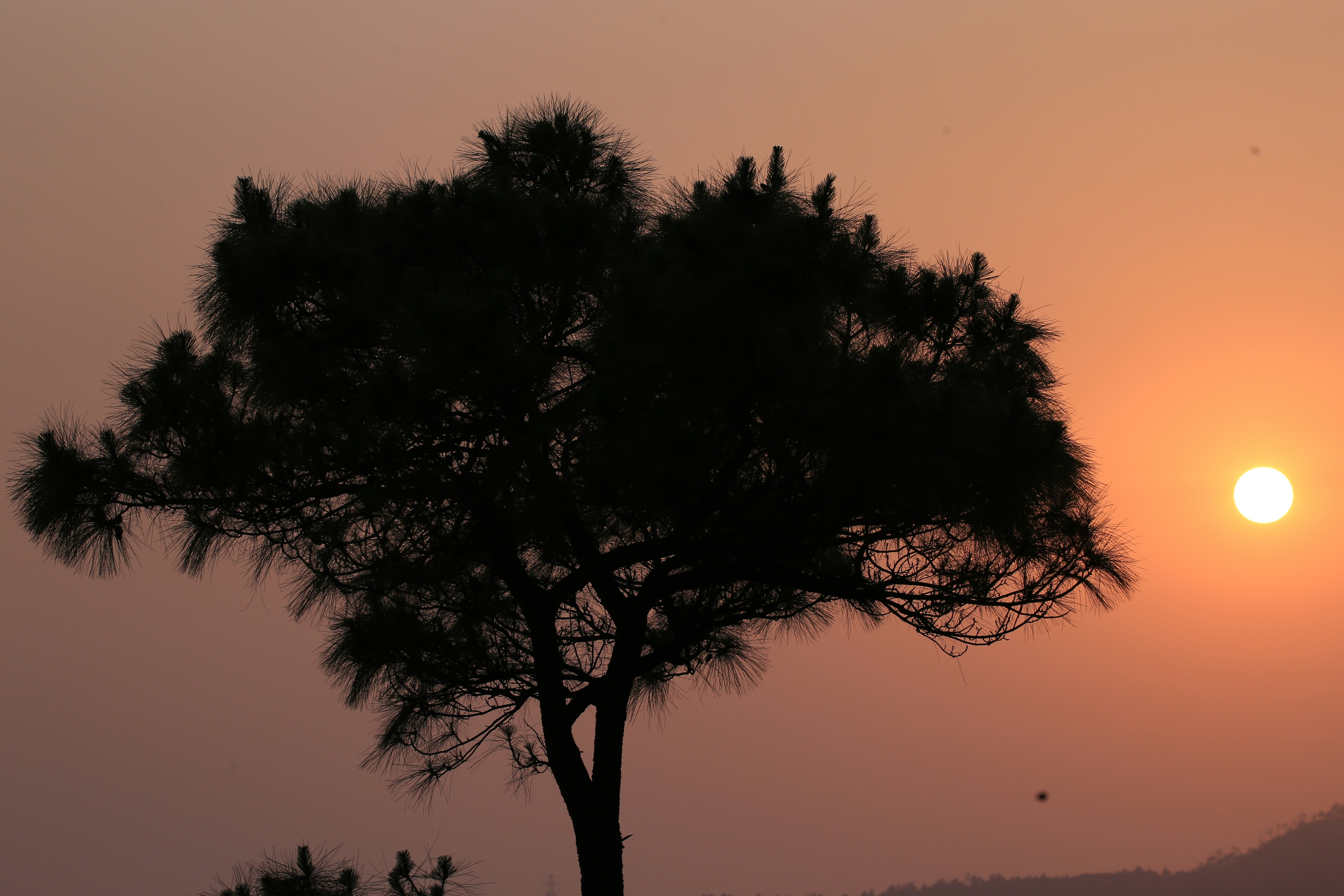 Photo by luckydaisy_29