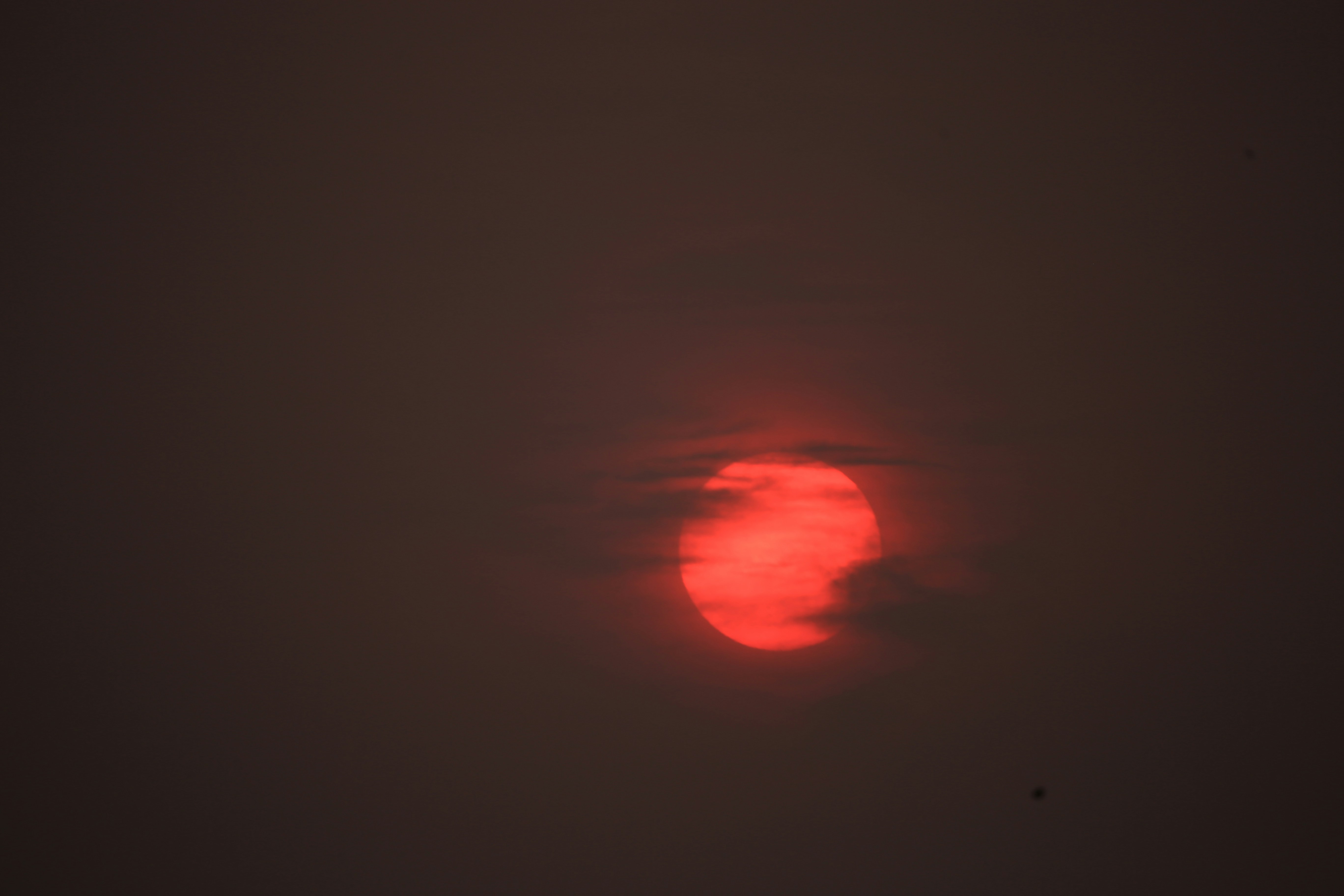 Photo by luckydaisy_29