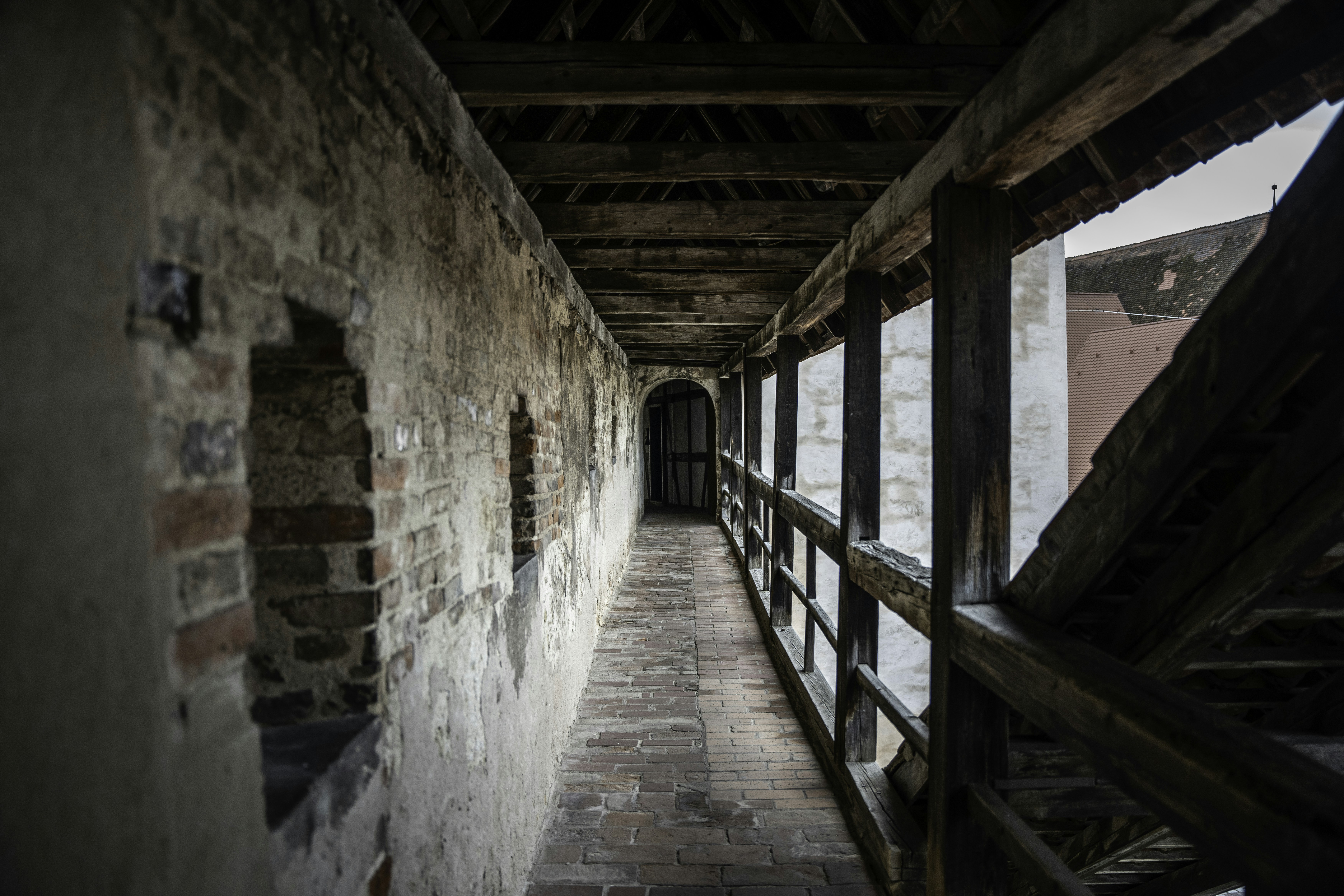 Photo by winstontjia