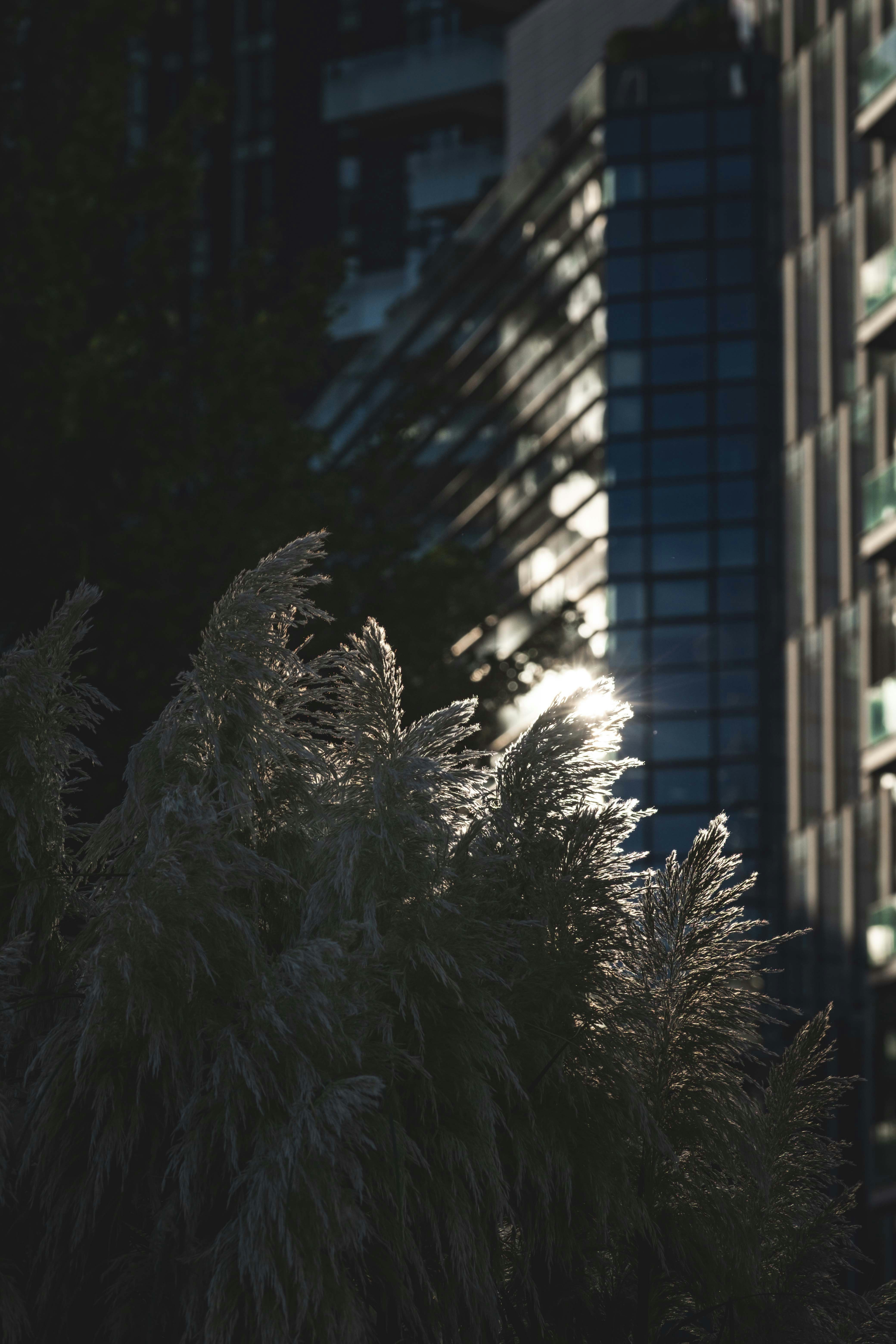 Photo by francesco_ungaro