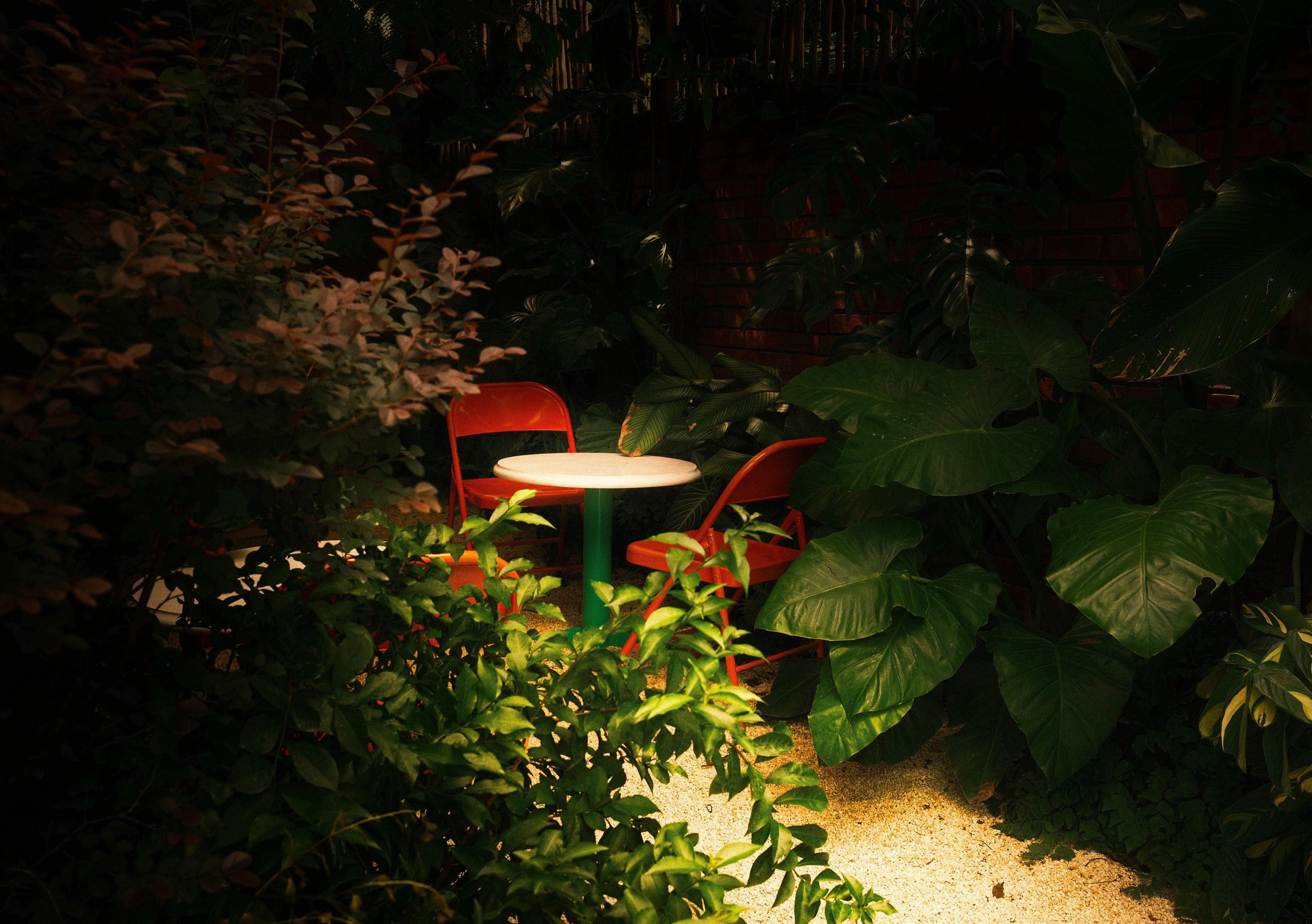 Photo by louisdraymond