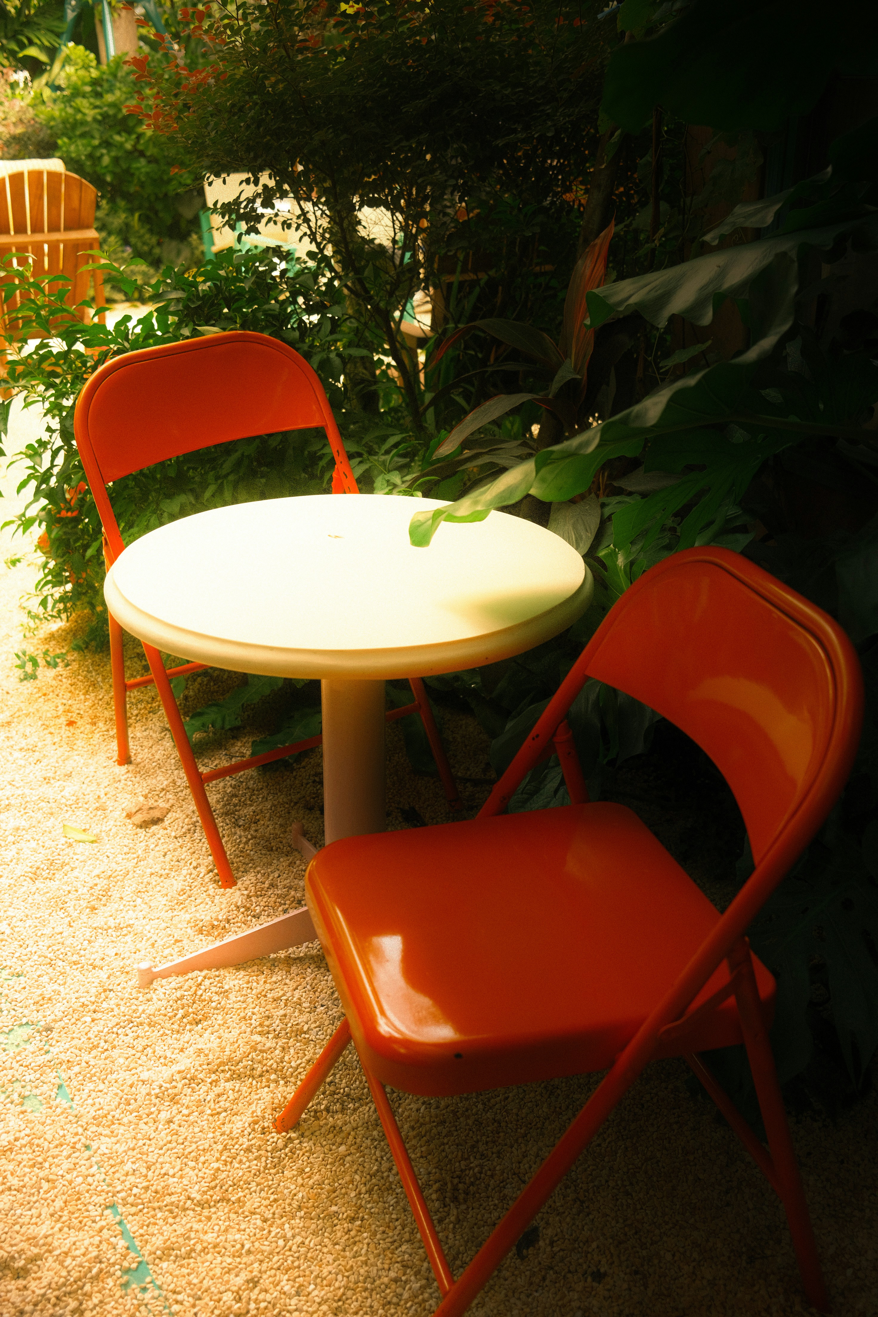 Duas cadeiras e uma mesa em um jardim