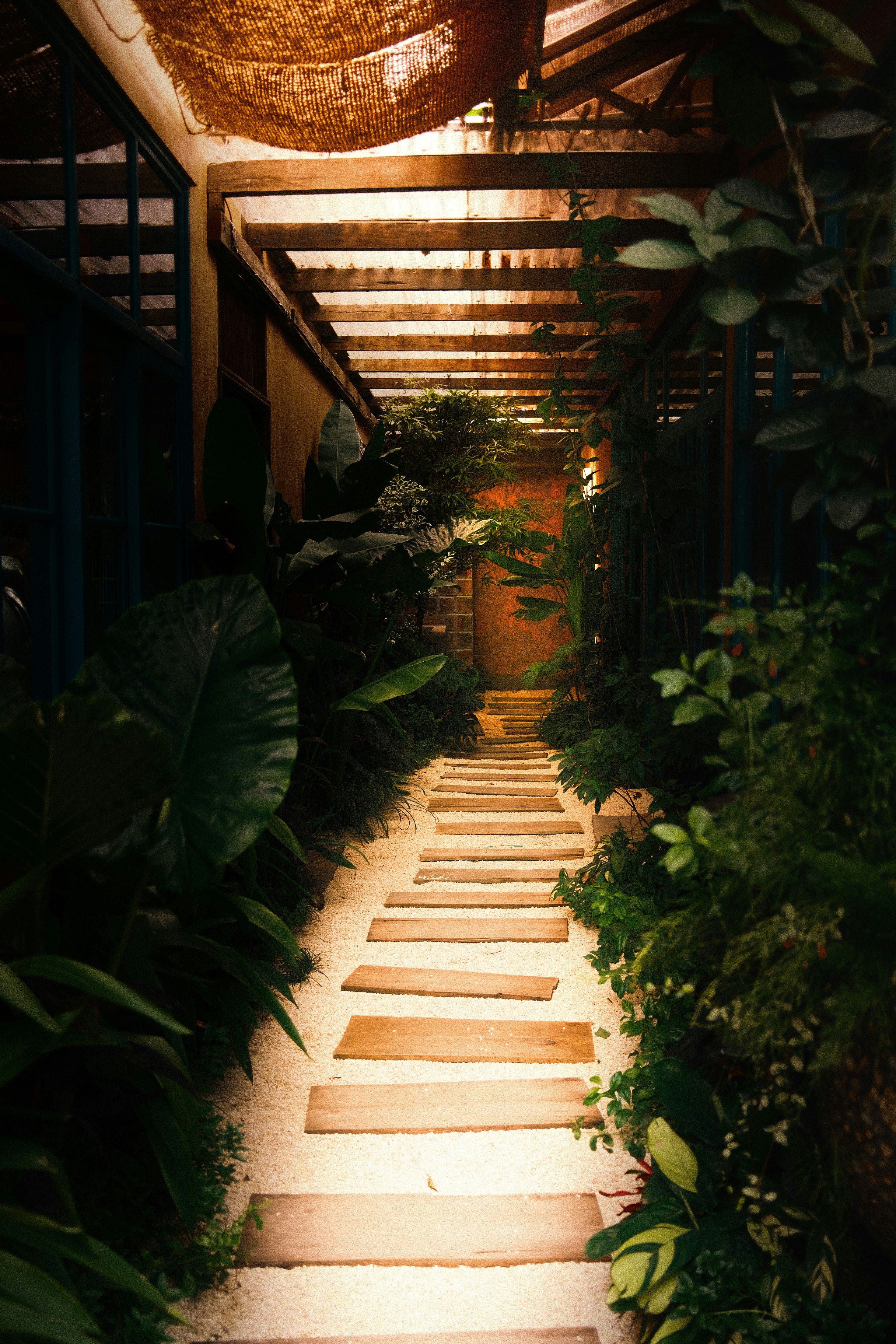 Photo by louisdraymond