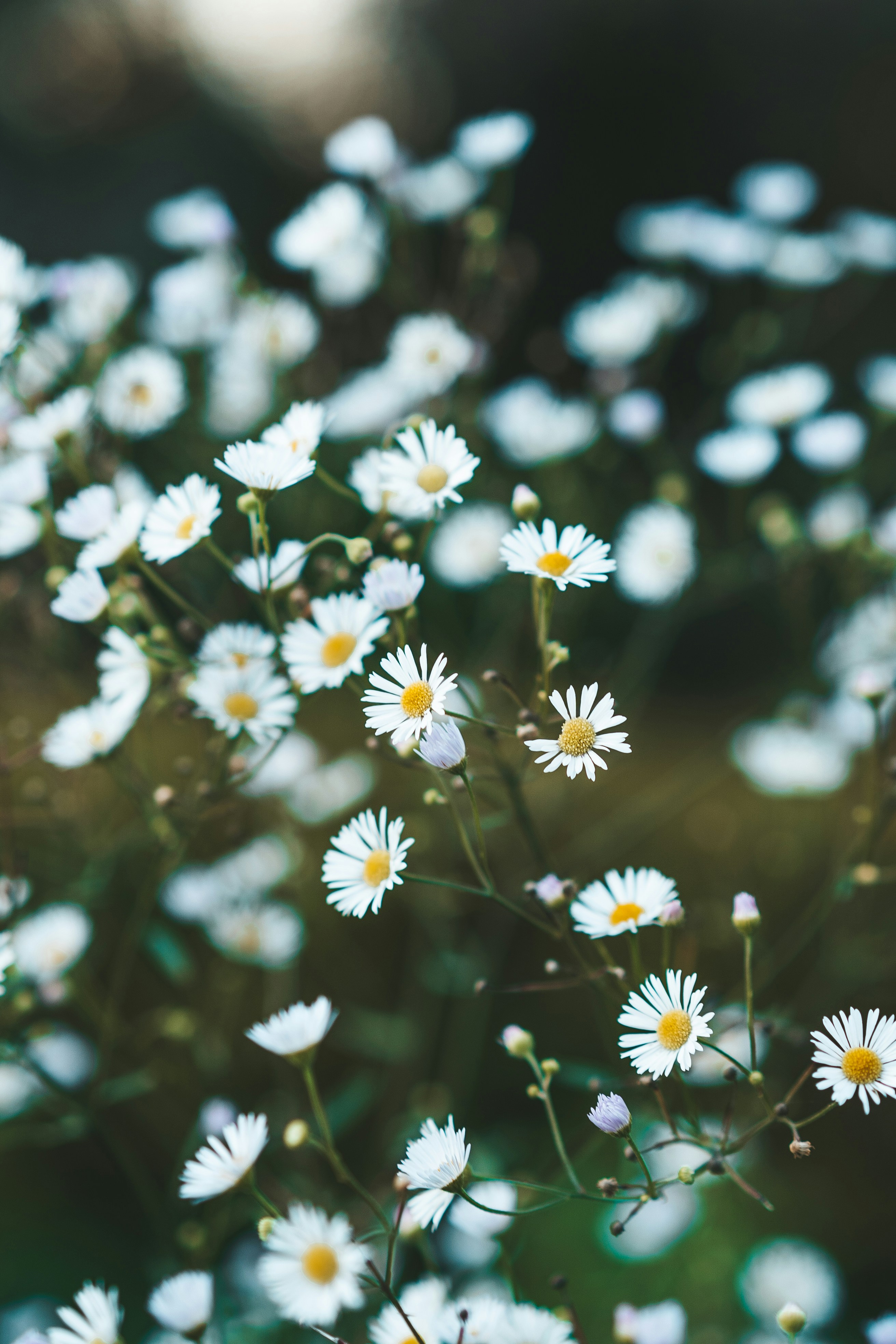 Photo by anamnesis33