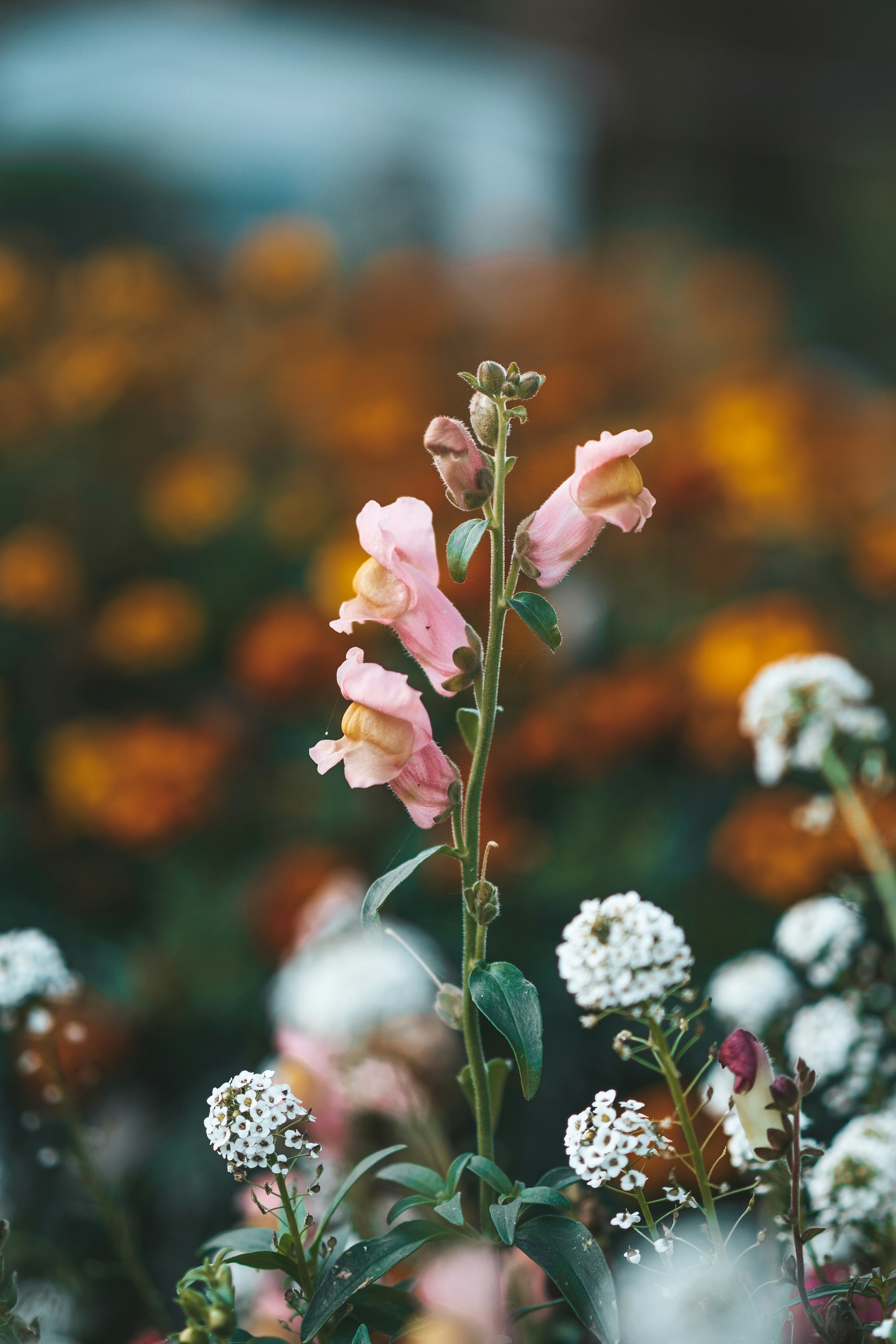 Photo by anamnesis33