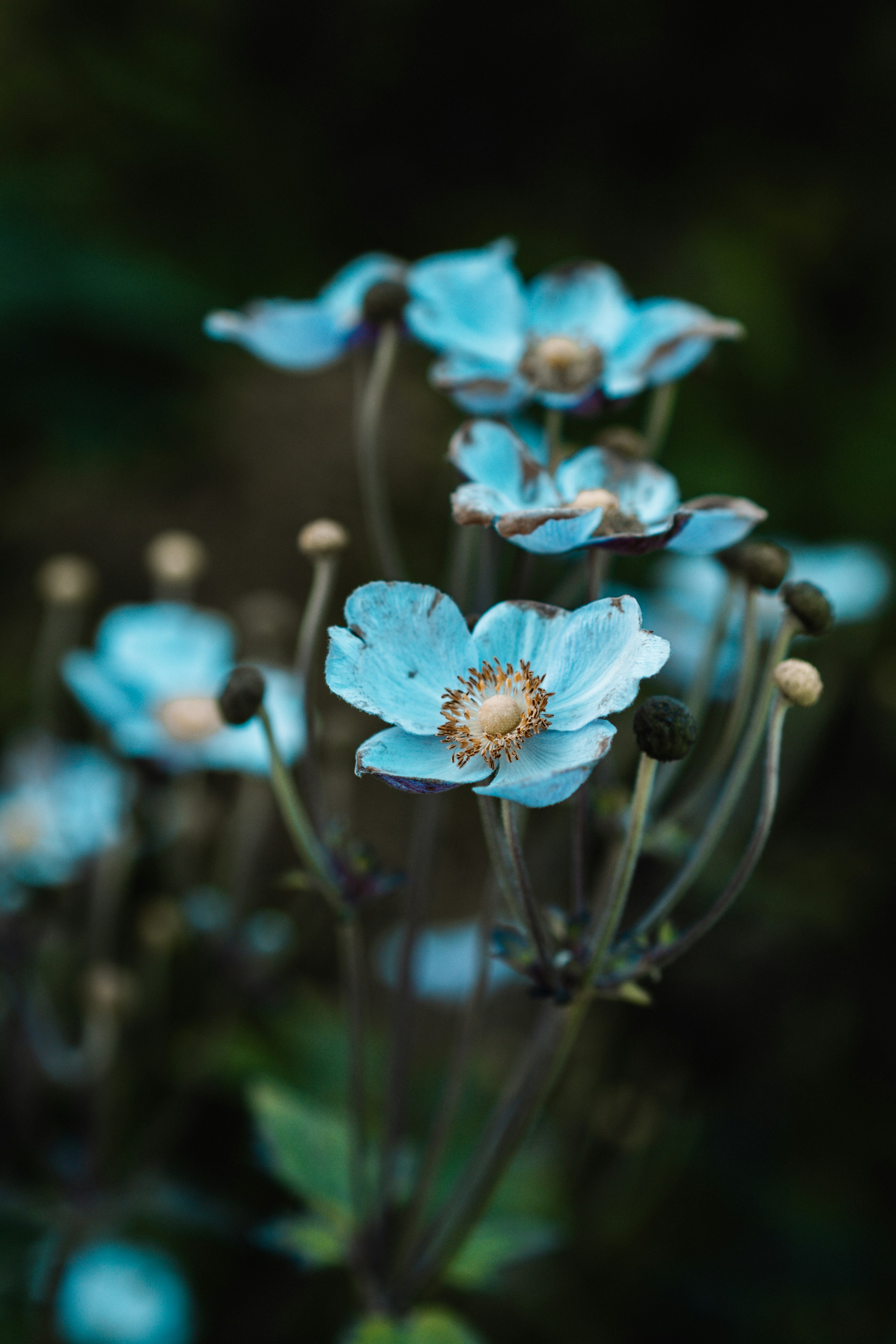 Photo by anamnesis33