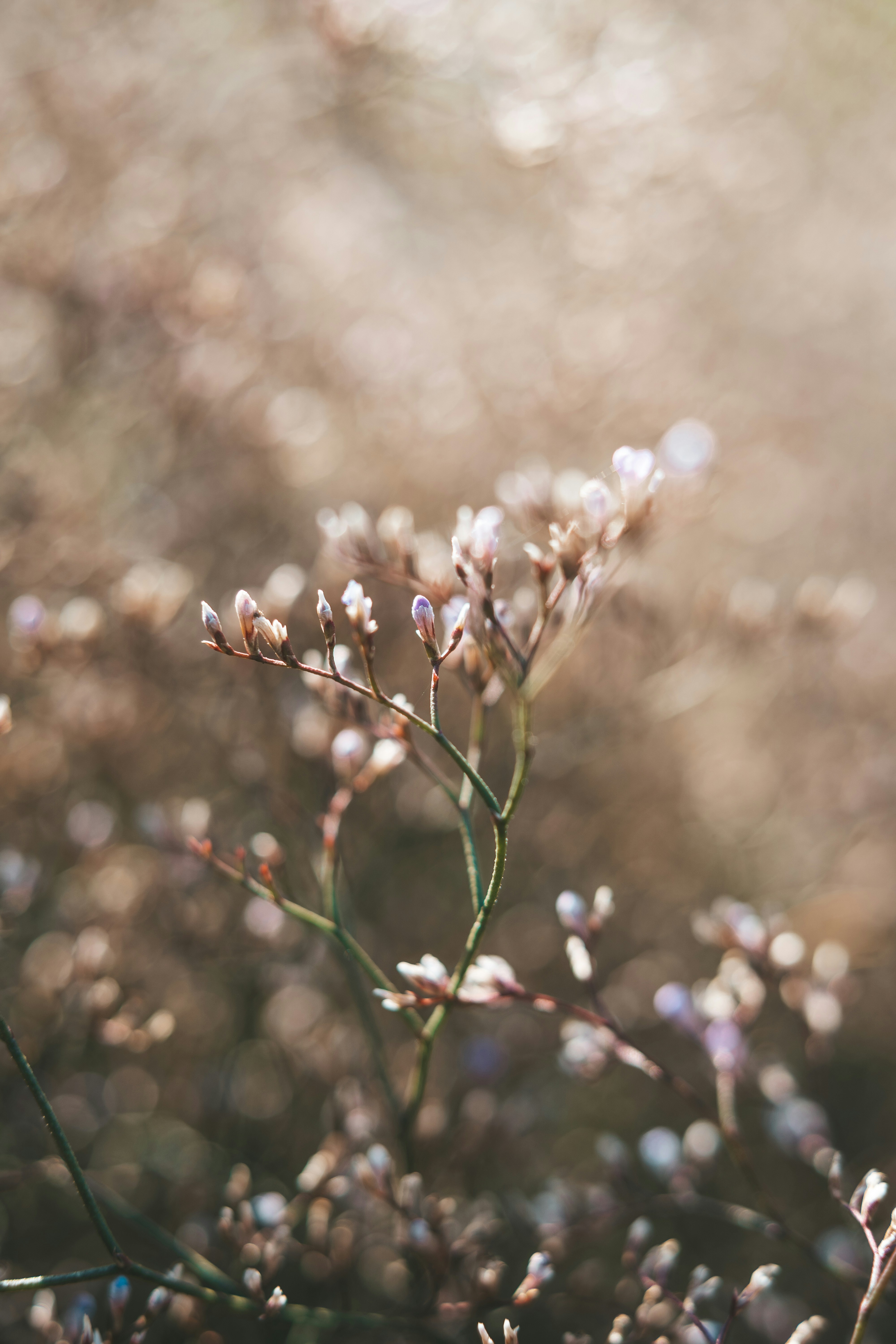 Photo by anamnesis33