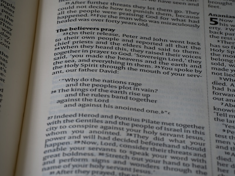 Fluency