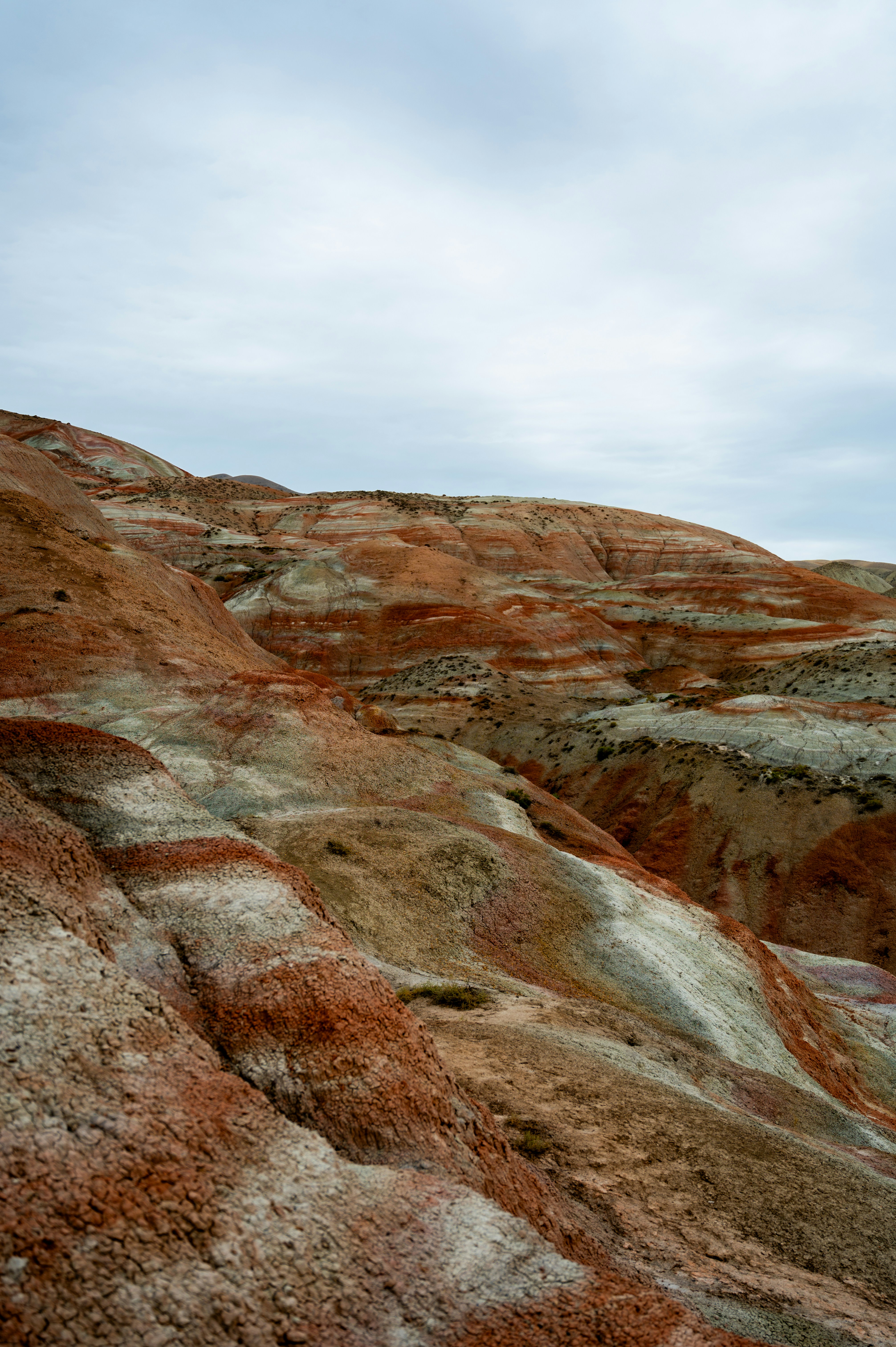 Photo by shubhamsingla365