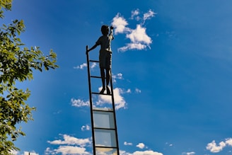 A man standing on top of a metal ladder