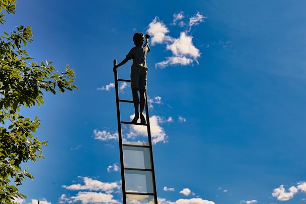 A man standing on top of a metal ladder