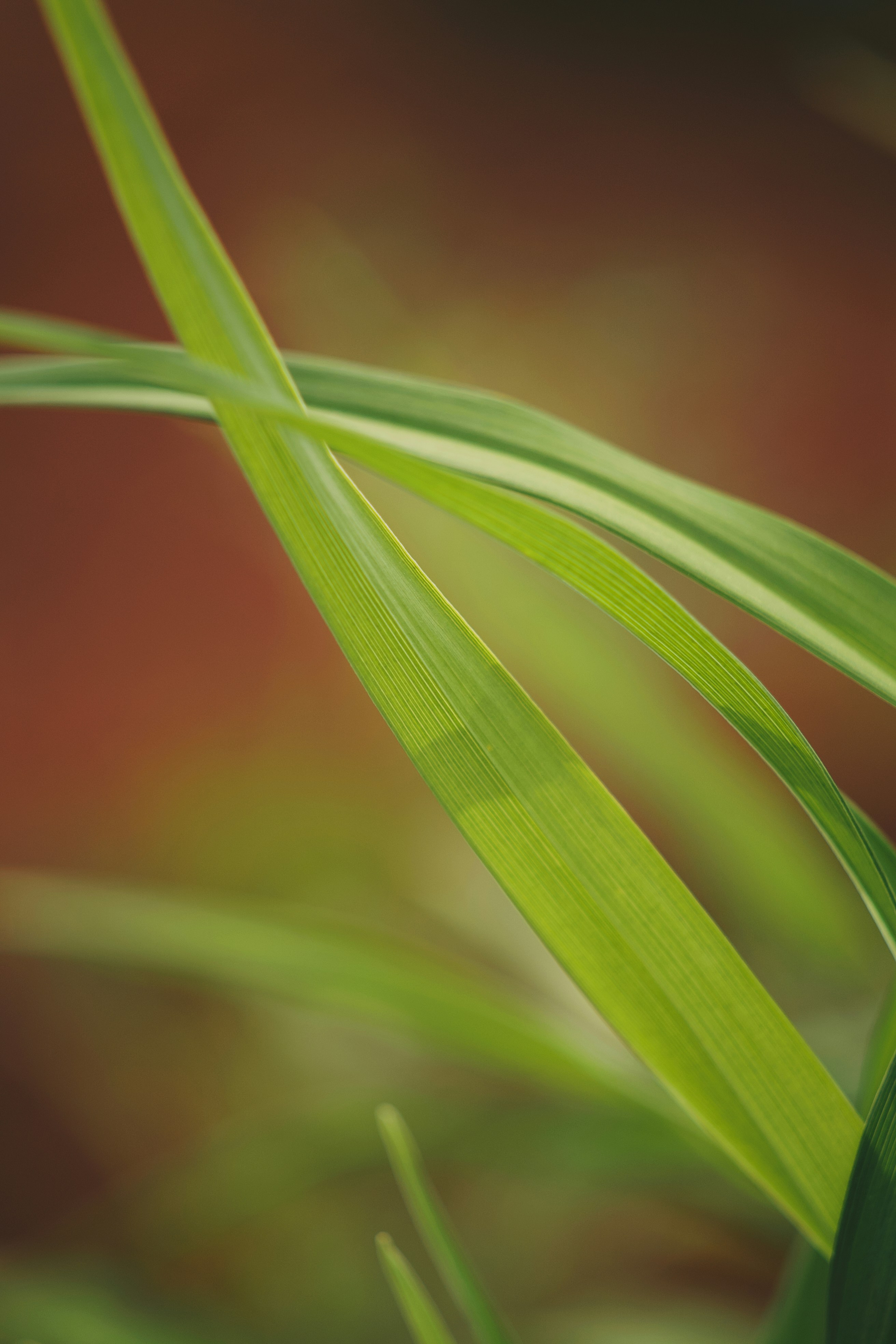 Photo by spacetourist