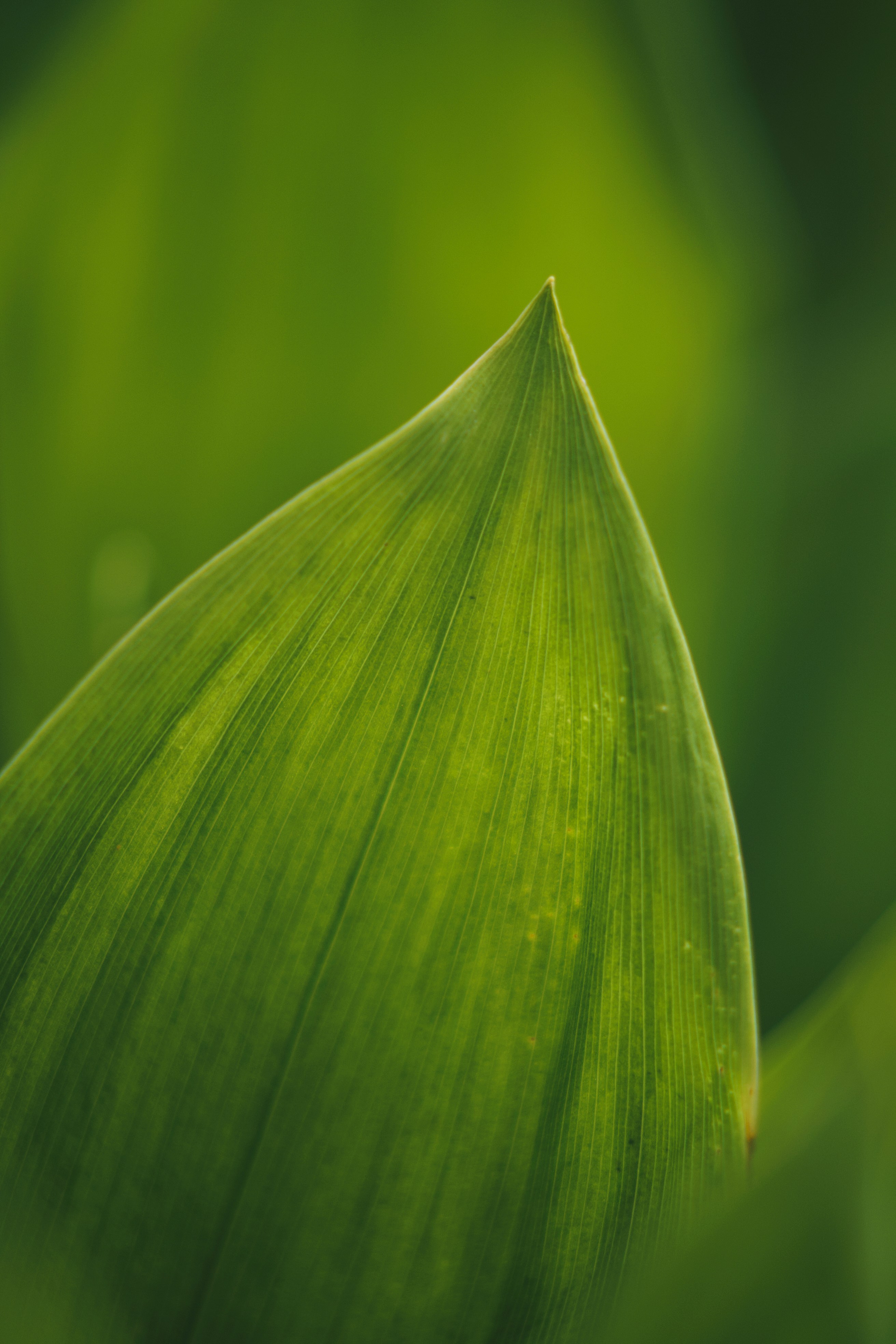 Photo by spacetourist